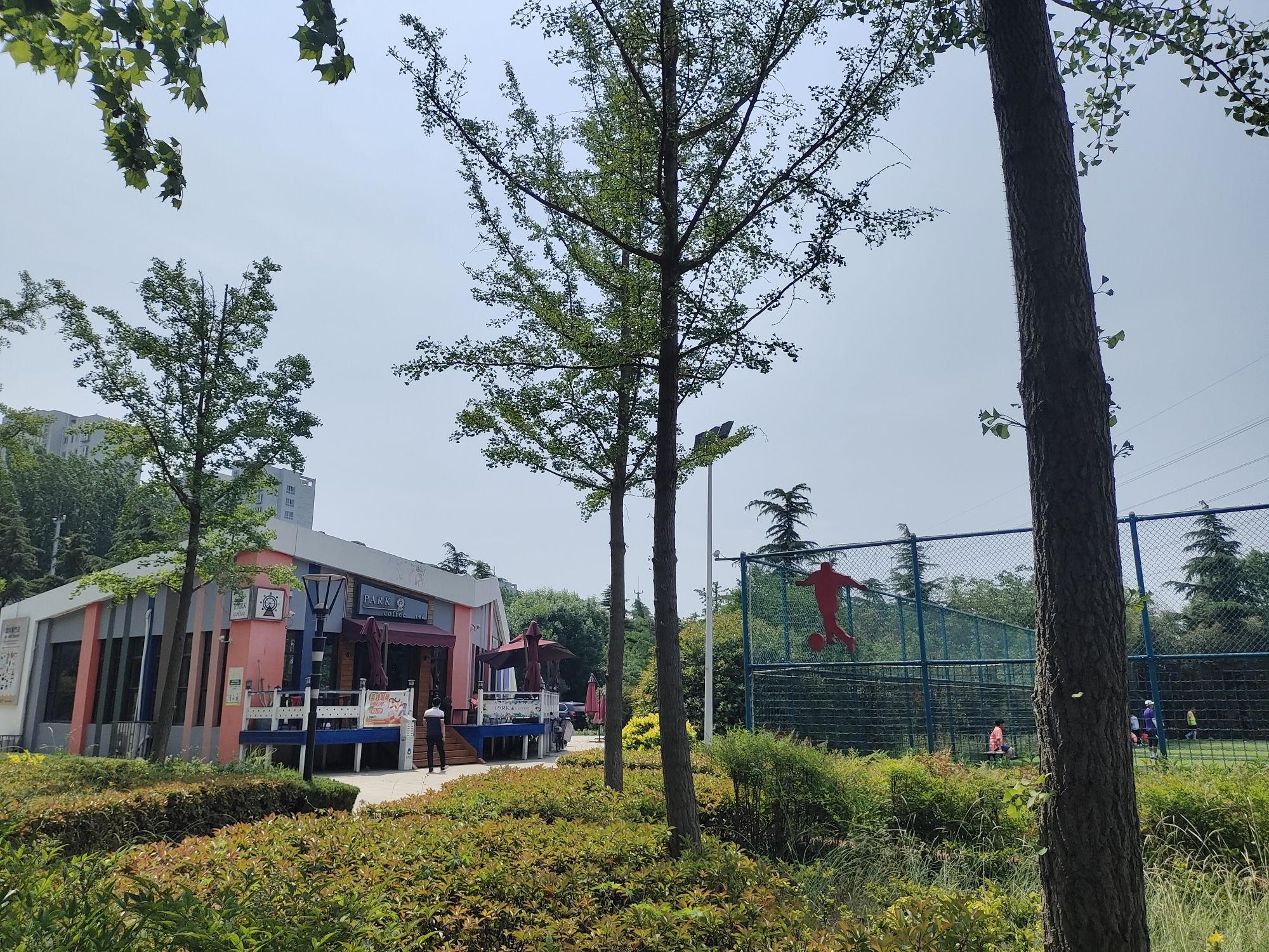 夏庄街道运动公园旅行图片 3