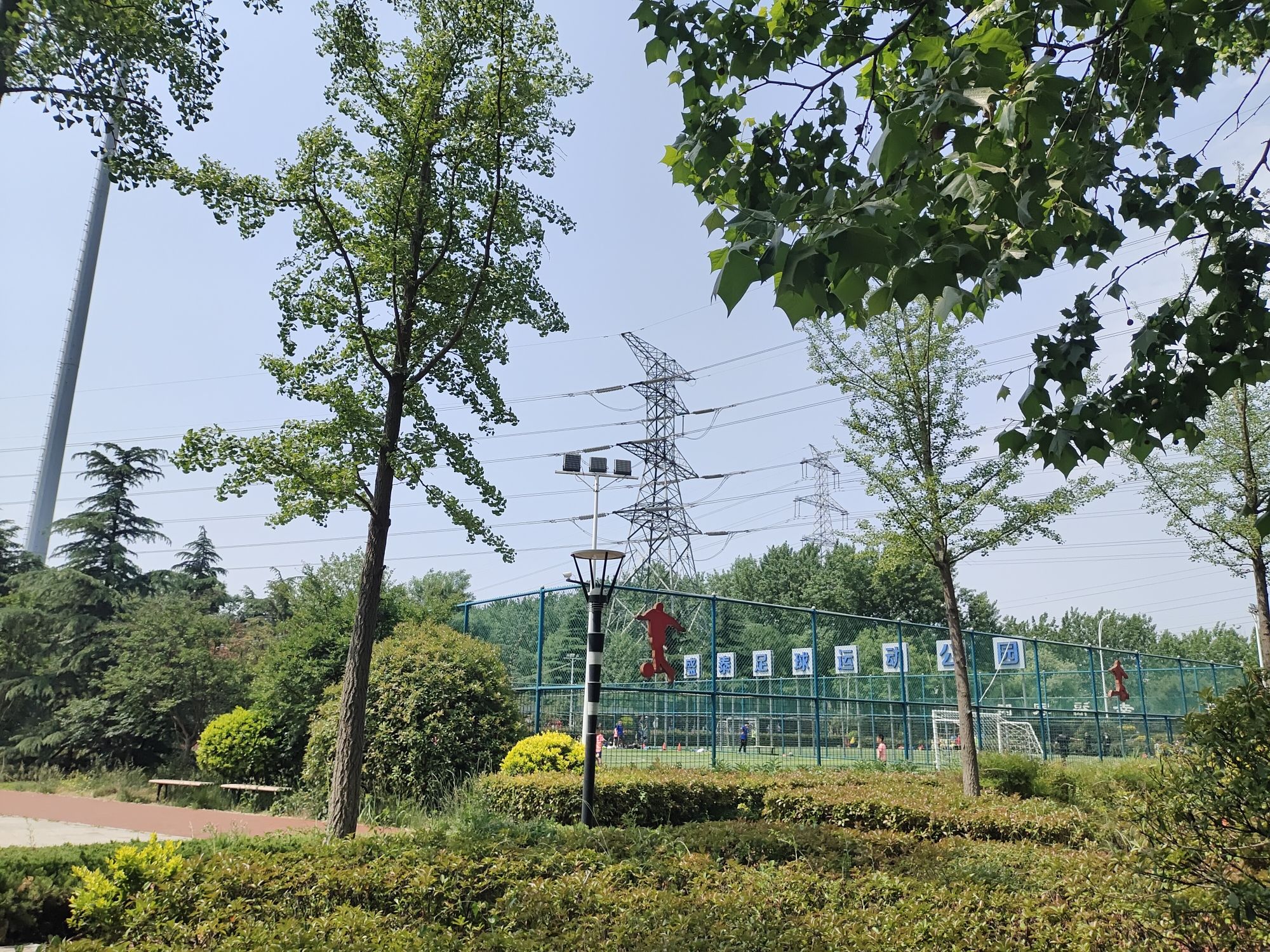 夏庄街道运动公园旅行图片 2