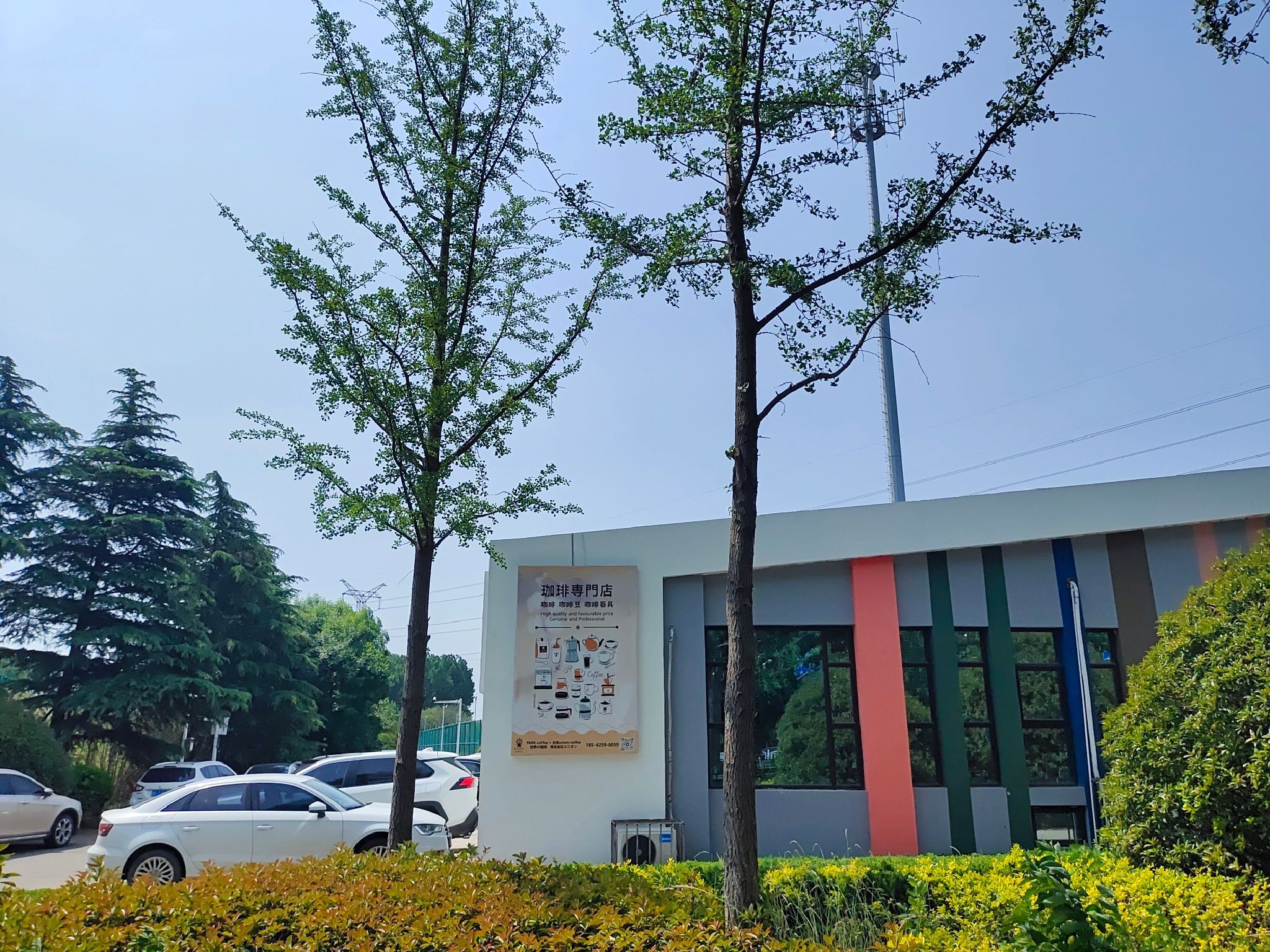 夏庄街道运动公园旅行图片 1