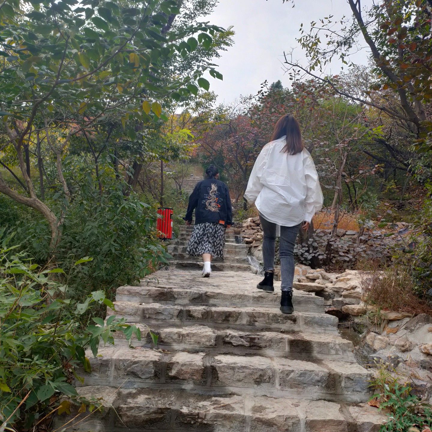 颜神文旅·九龙峪风景区旅行图片 3