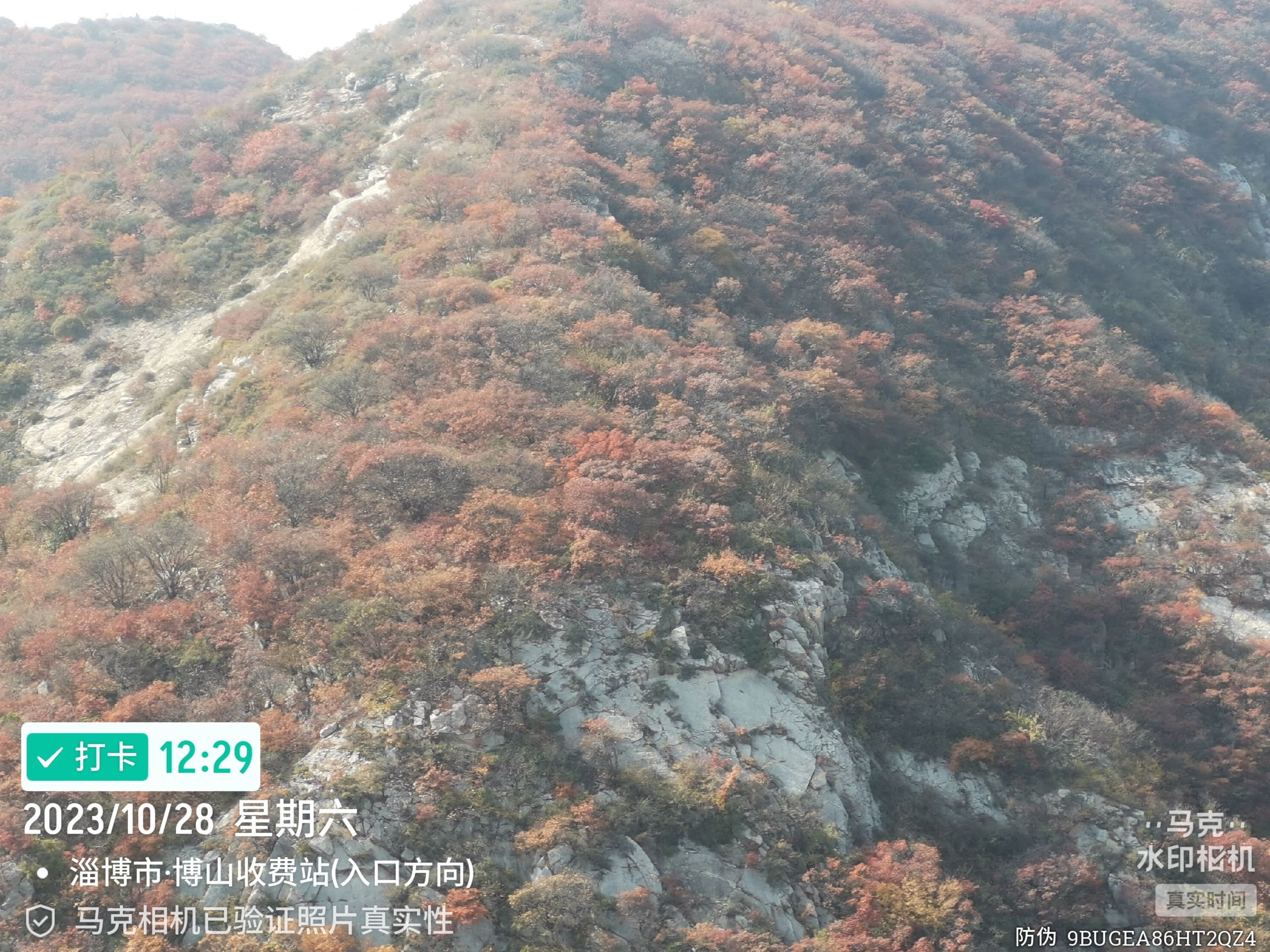 颜神文旅·九龙峪风景区旅行图片 2