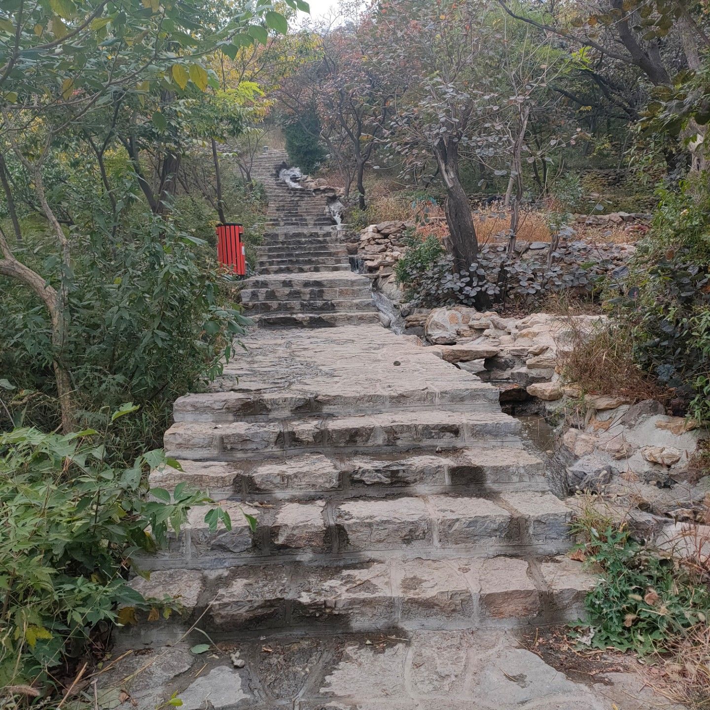 颜神文旅·九龙峪风景区旅行图片 2