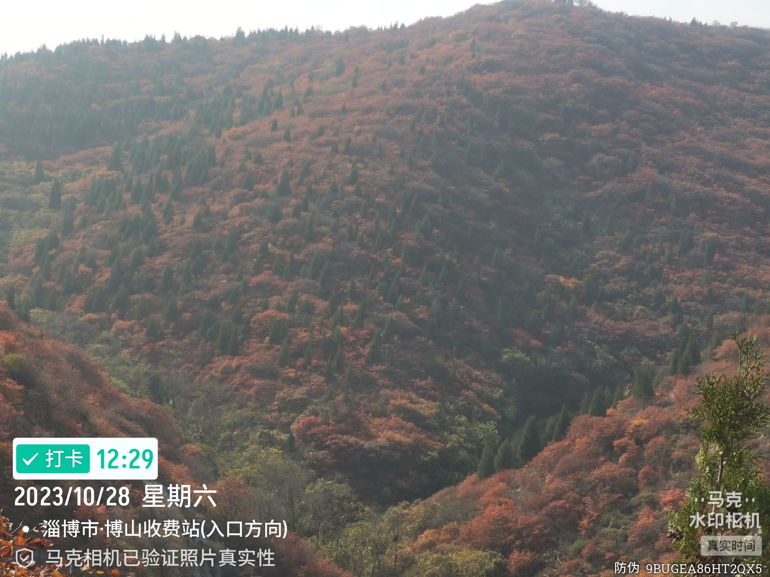 颜神文旅·九龙峪风景区旅行图片 3