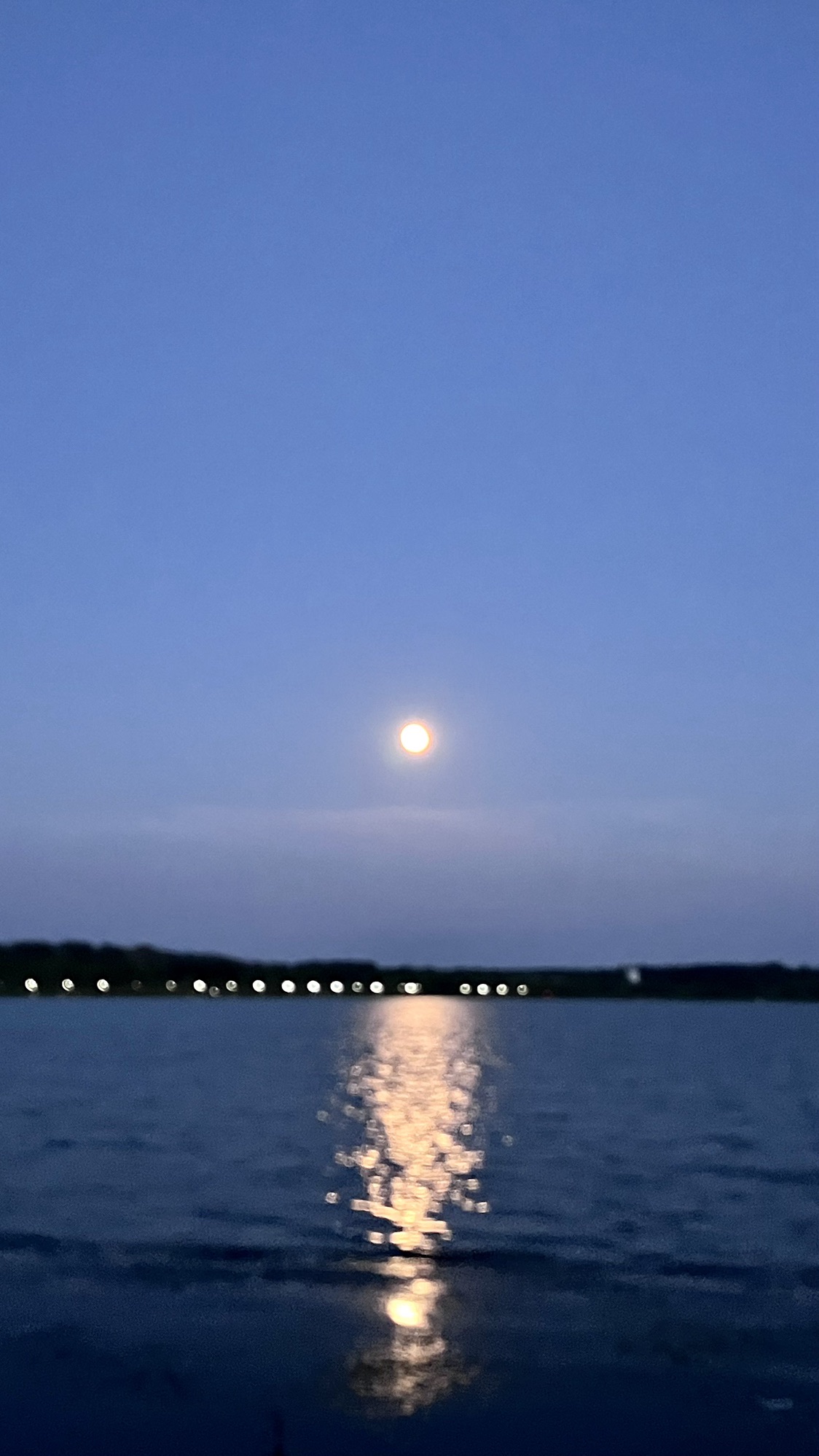 东湖水库旅行图片 3