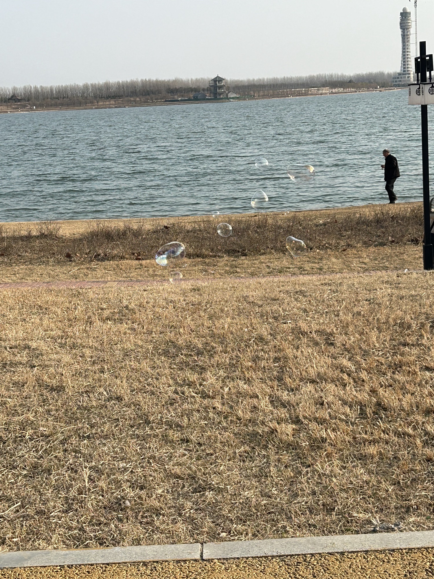 东湖水库旅行图片 2