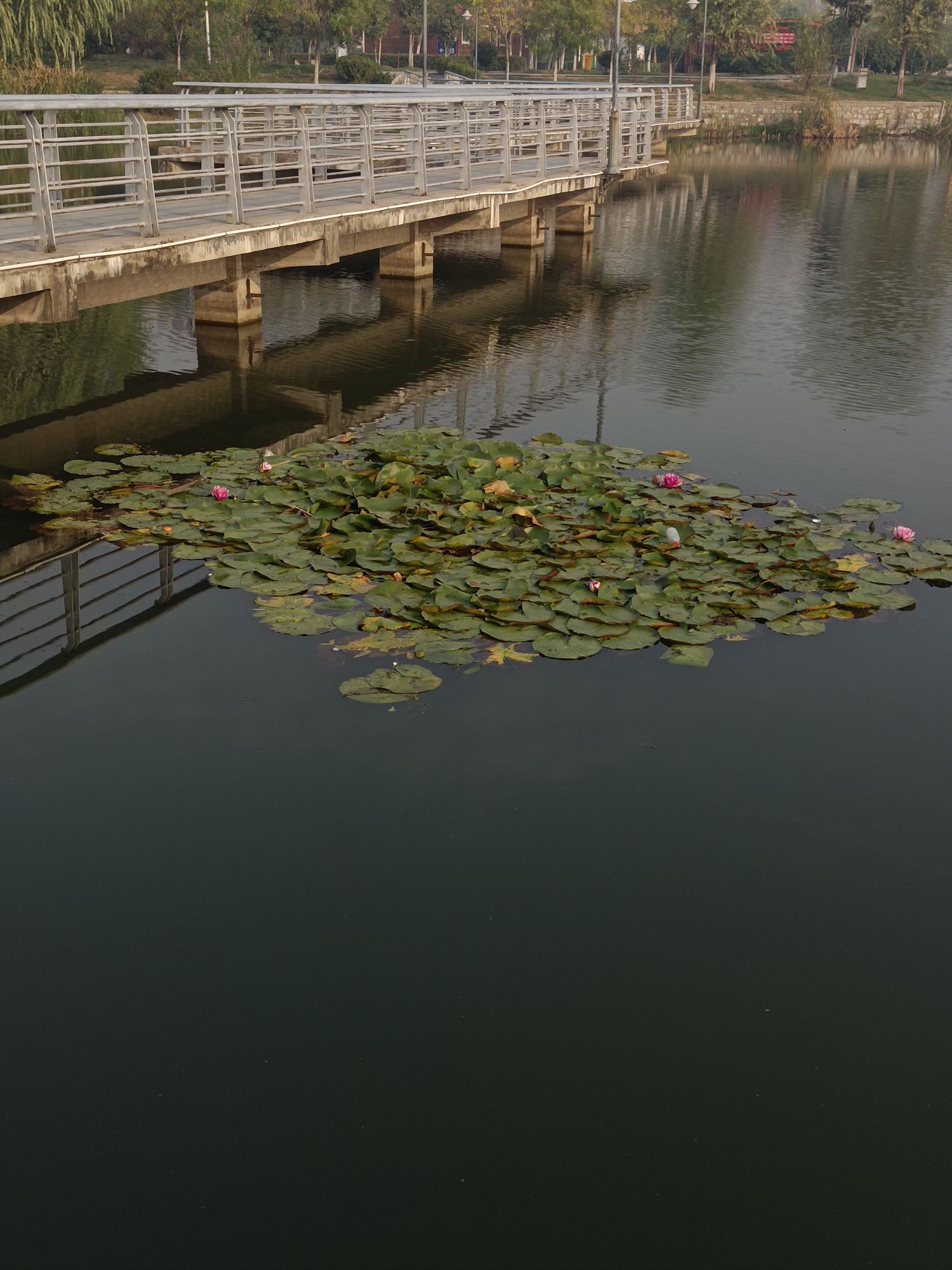东湖水库旅行图片 3