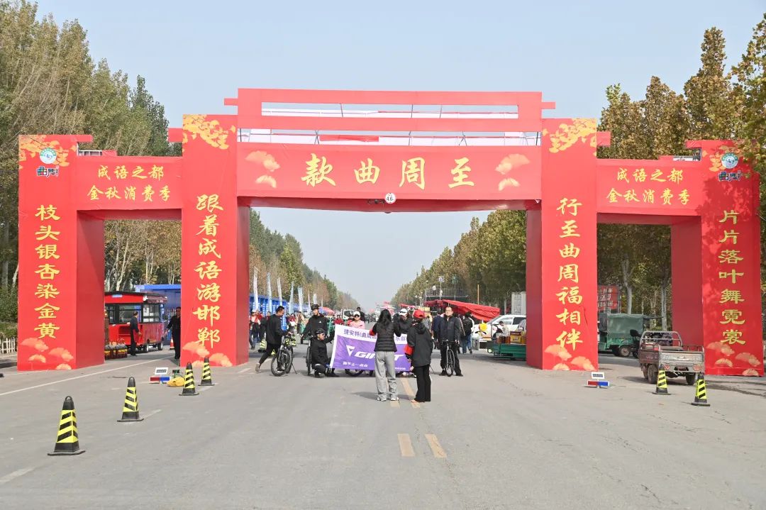 曲周银杏林旅行图片 2