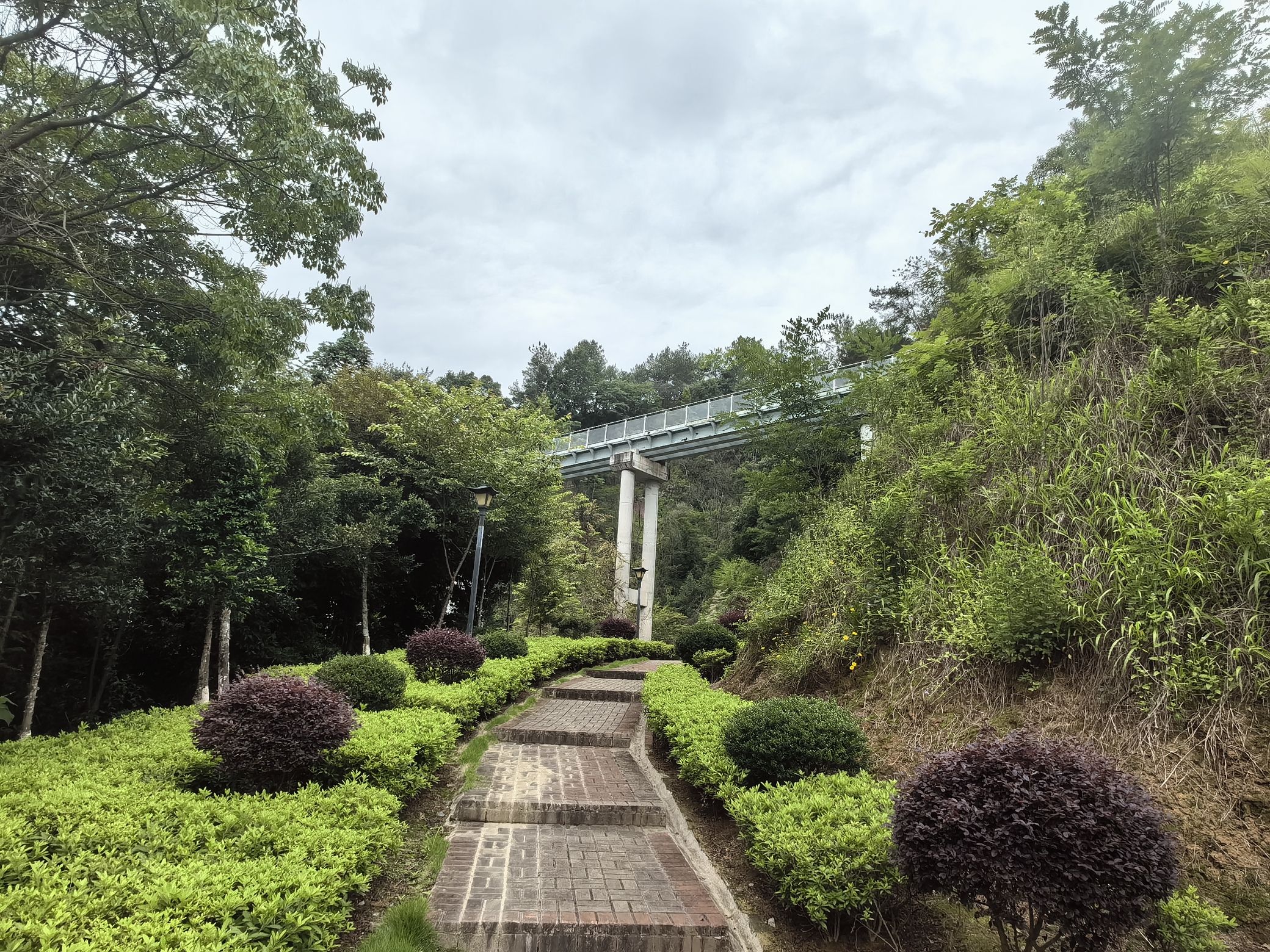 清流县铜锣山公园旅行图片 3