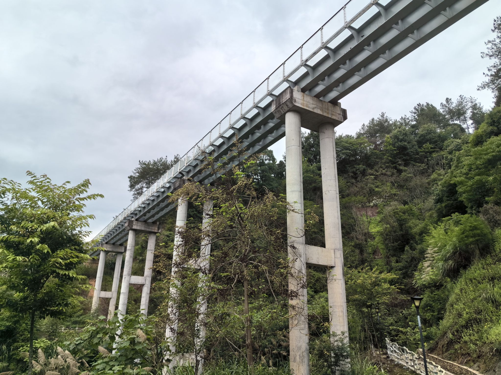 清流县铜锣山公园旅行图片 2