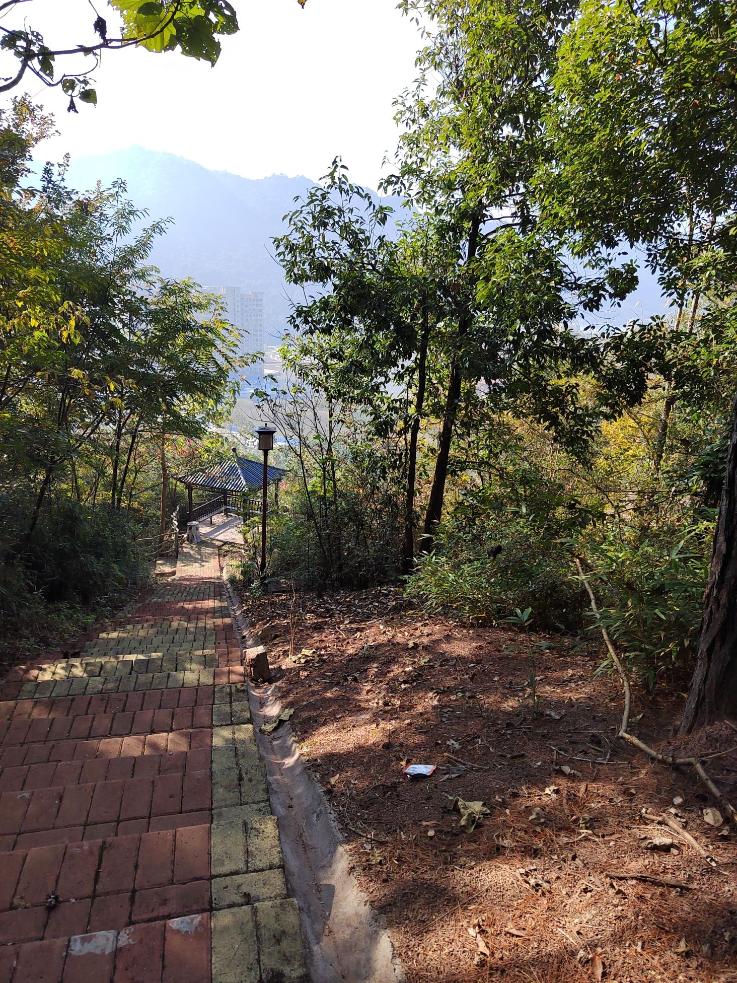 清流县铜锣山公园旅行图片 1