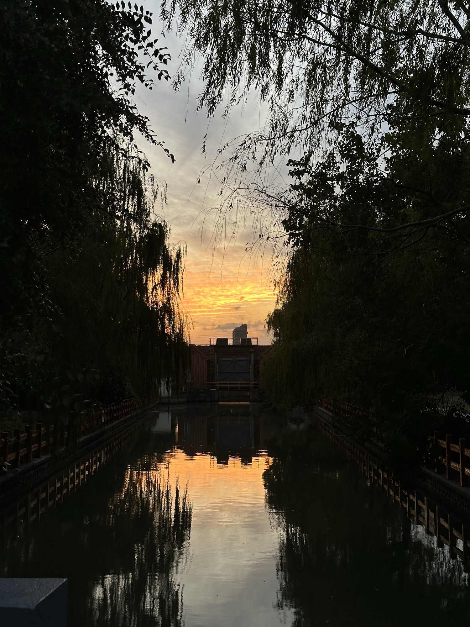 九科绿洲公园旅行图片 1