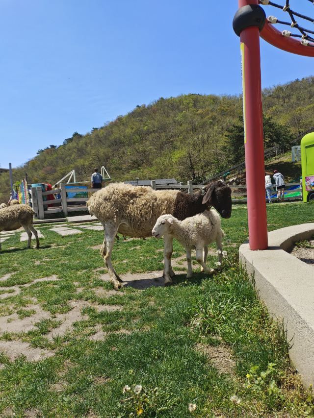 云上草原国际山地旅游度假区旅行图片 3