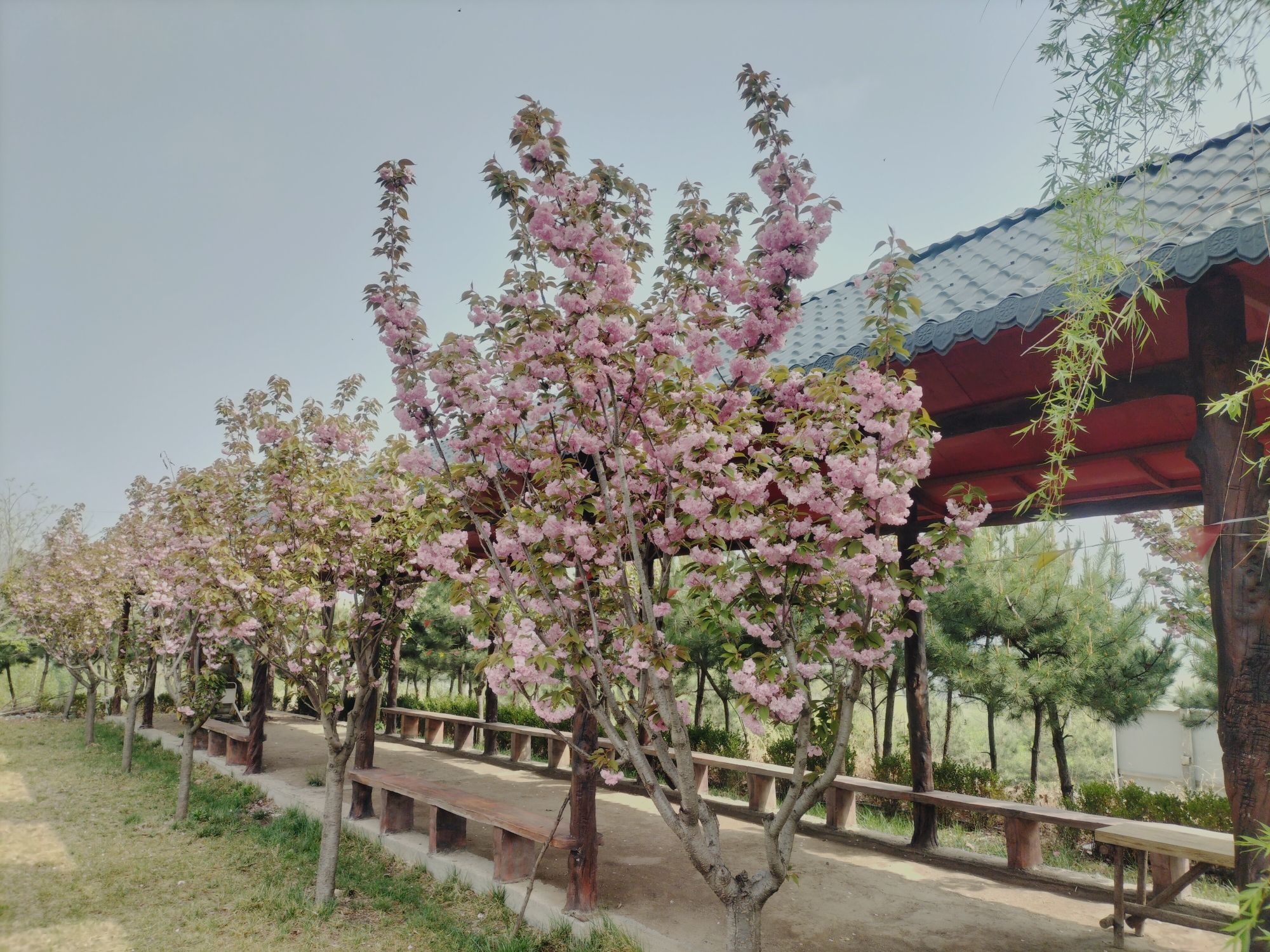 莱芜彩石溪景区旅行图片 1