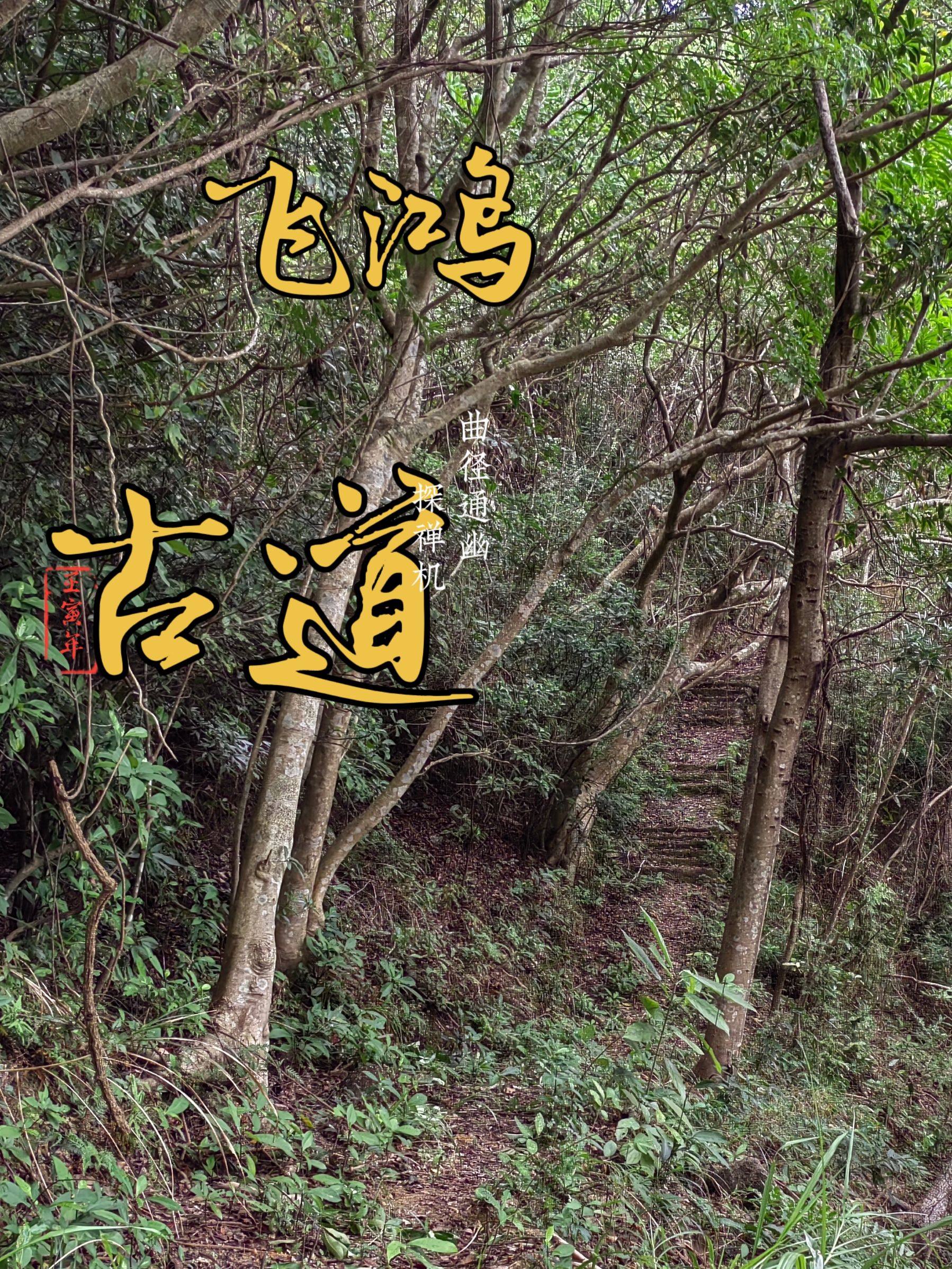 飛鸿寺