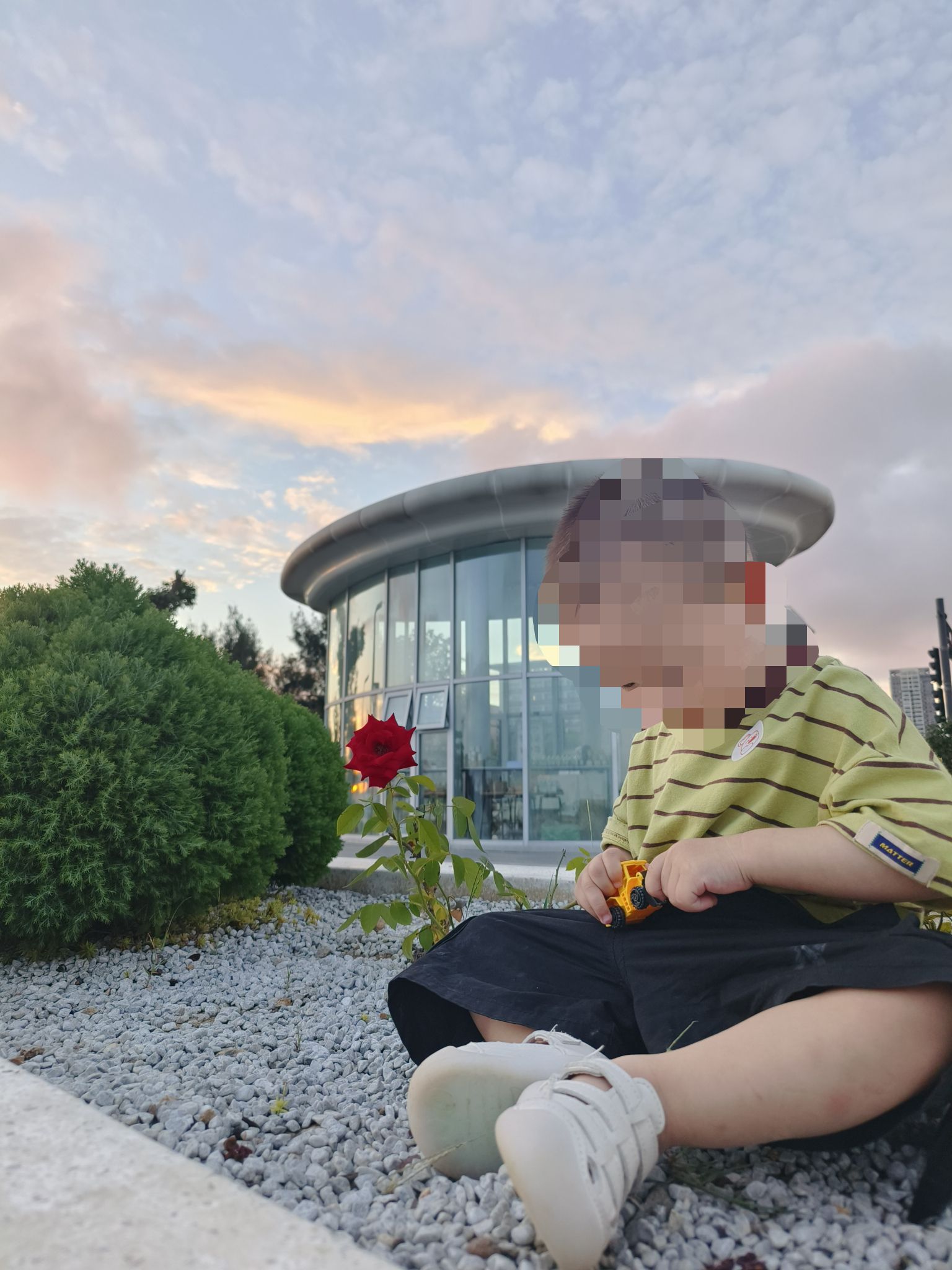 海湾公园旅行图片 3