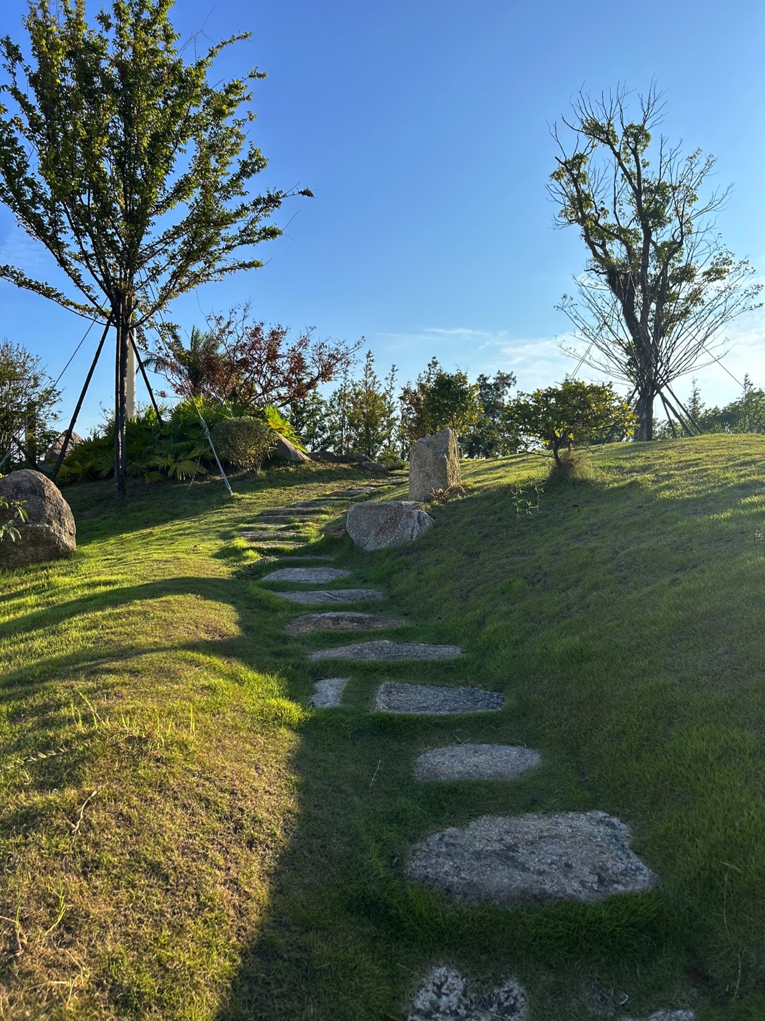 海湾公园旅行图片 1