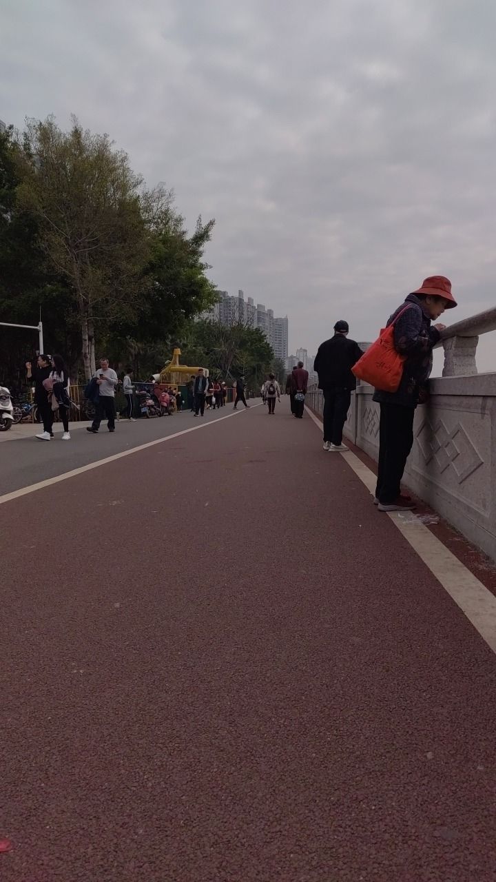双拥公园旅行图片 1