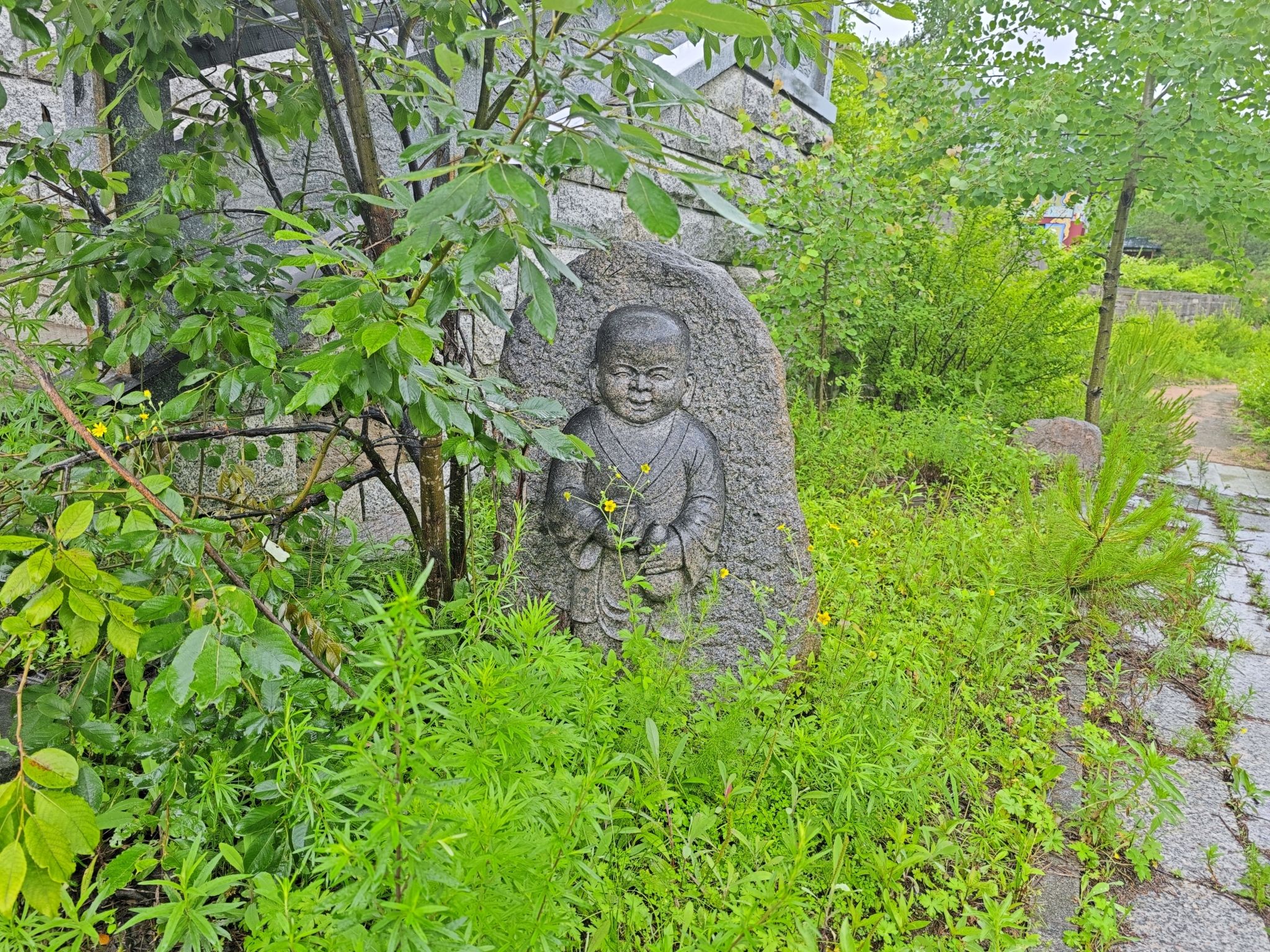 日光山森林公园旅行图片 3
