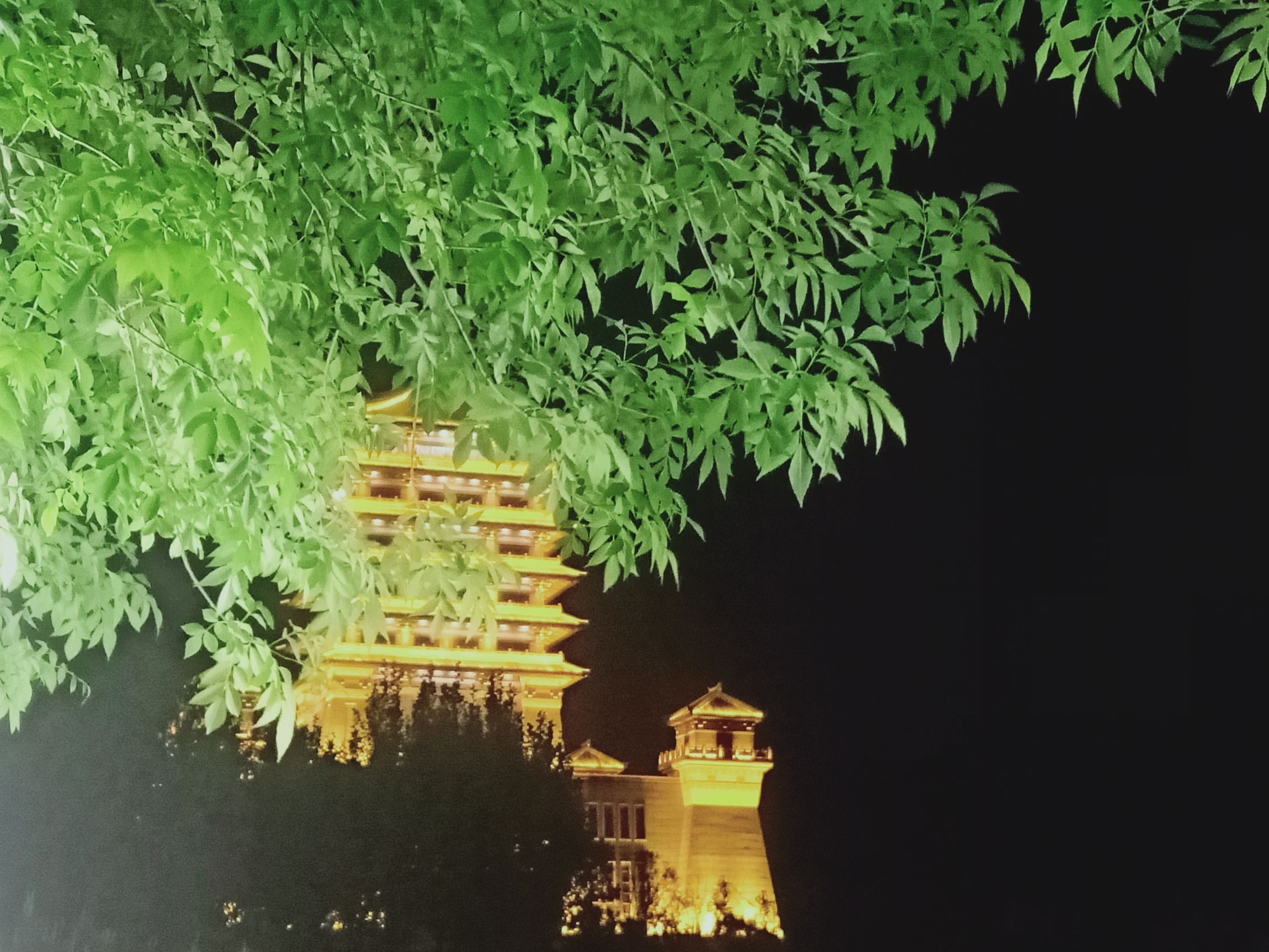 汉博园旅行图片 3
