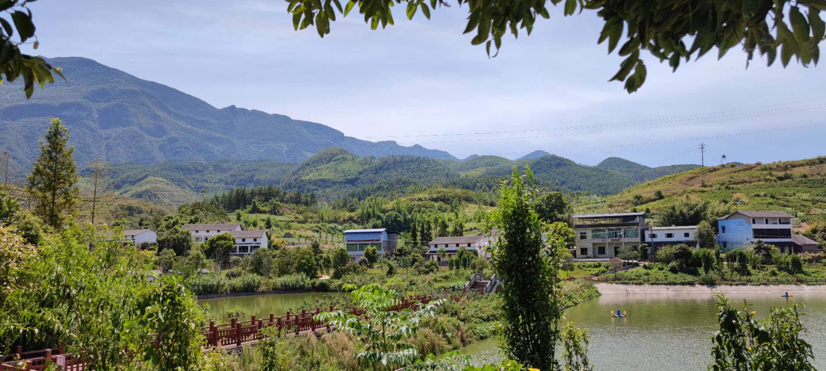 九龙溪古镇(暂停开放)旅行图片 3