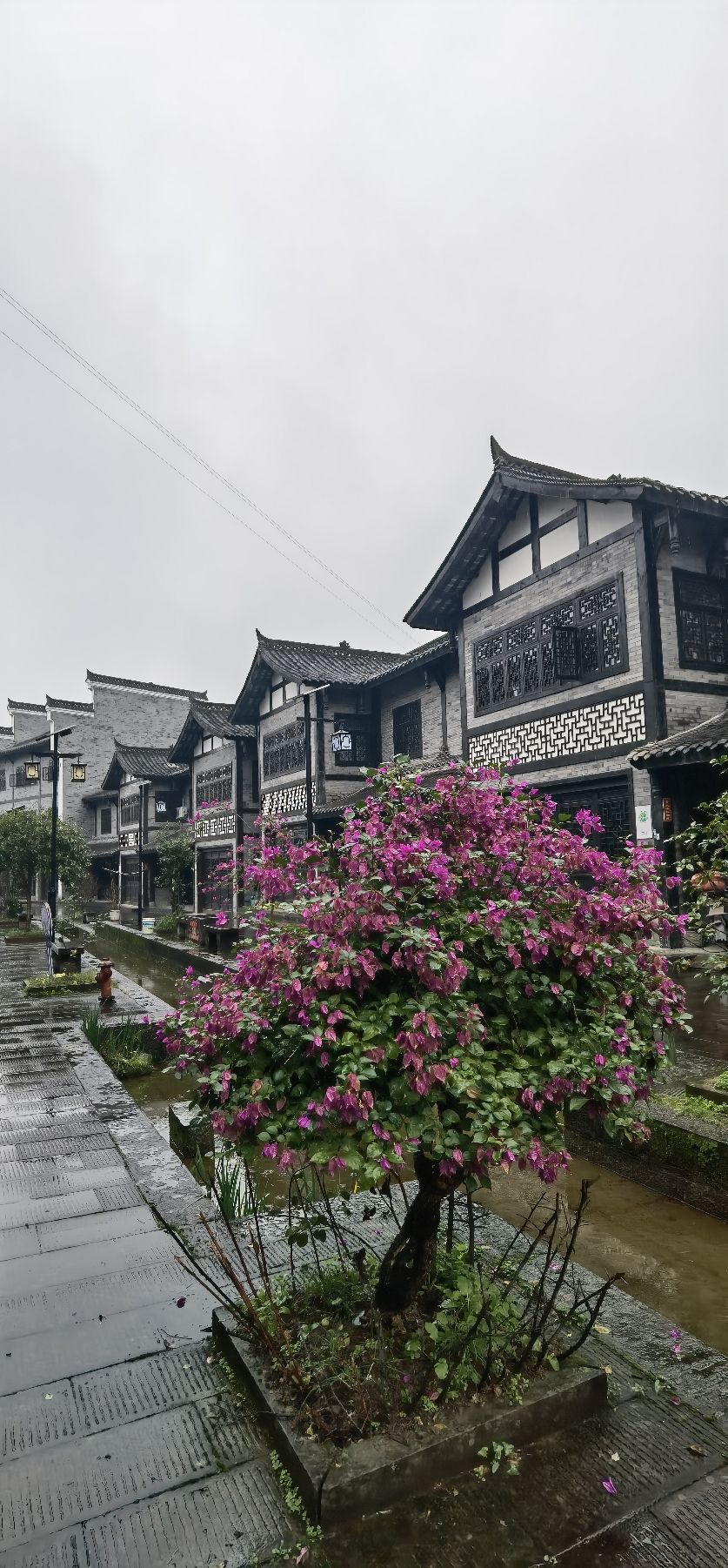 九龙溪古镇(暂停开放)旅行图片 3