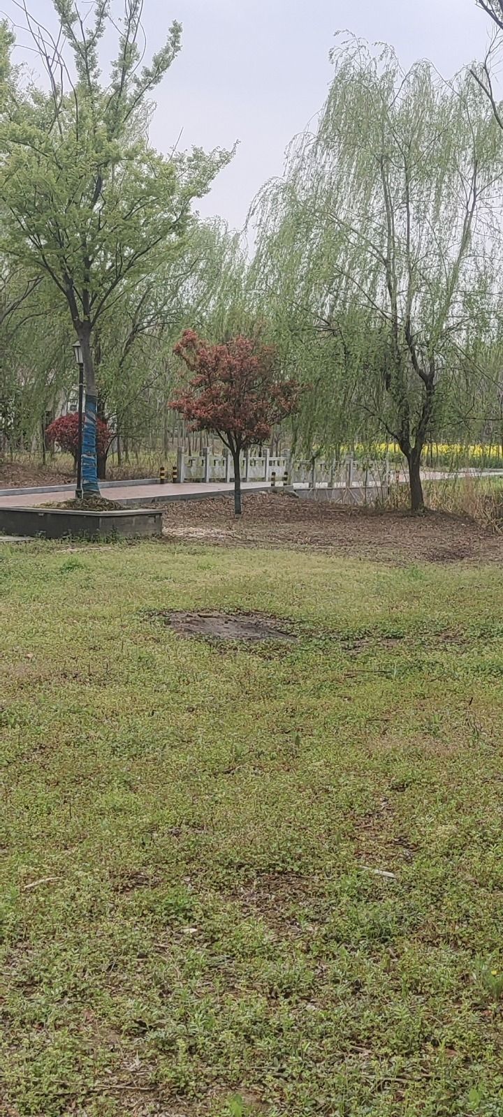 益林森林公园旅行图片 2