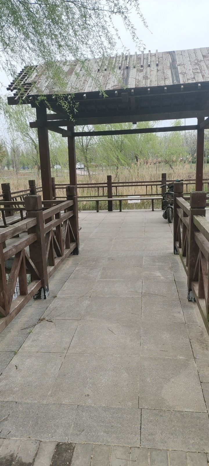 益林森林公园旅行图片 1