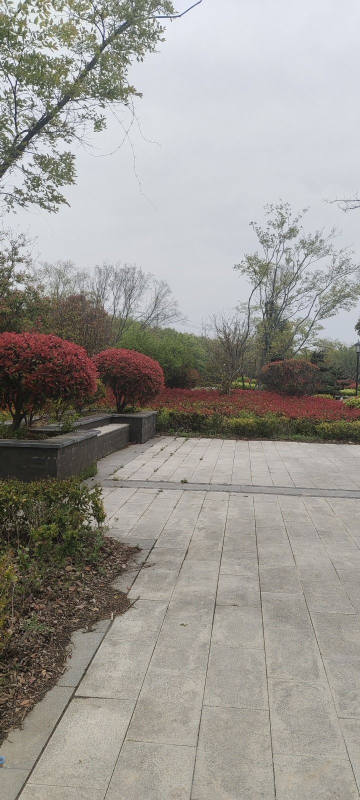 益林森林公园