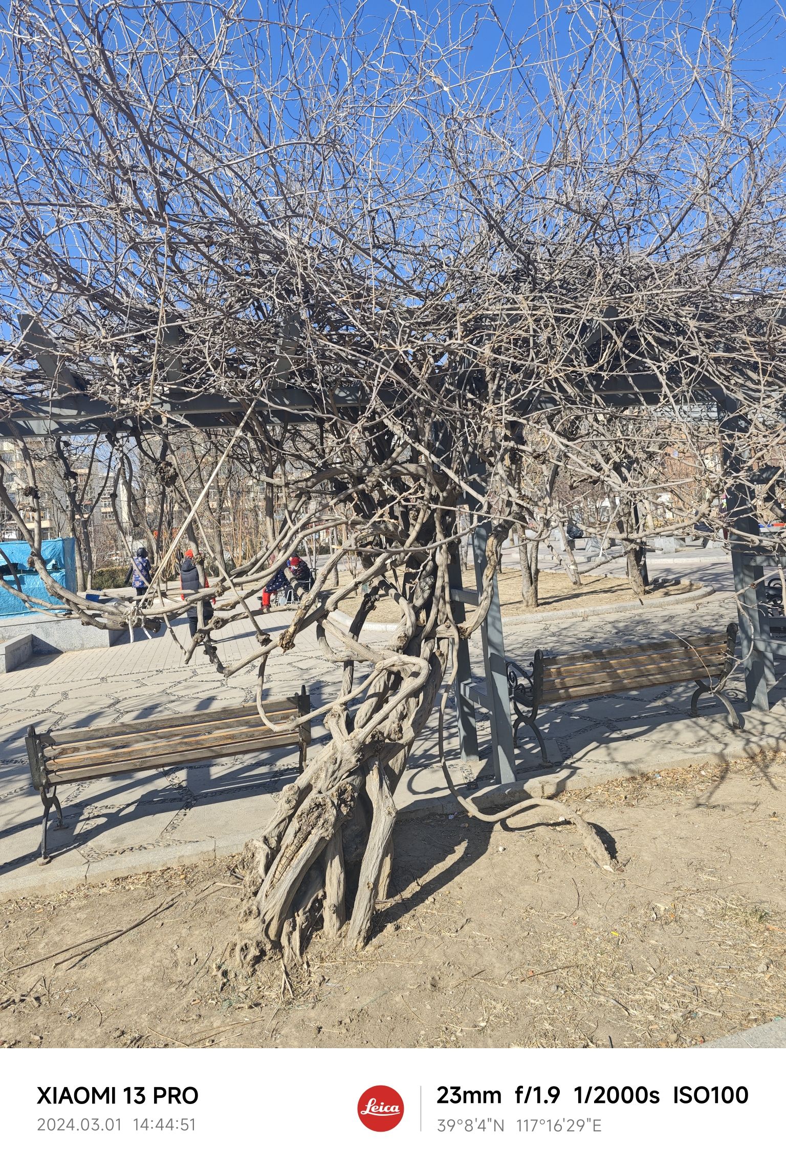 海棠健康公园旅行图片 3