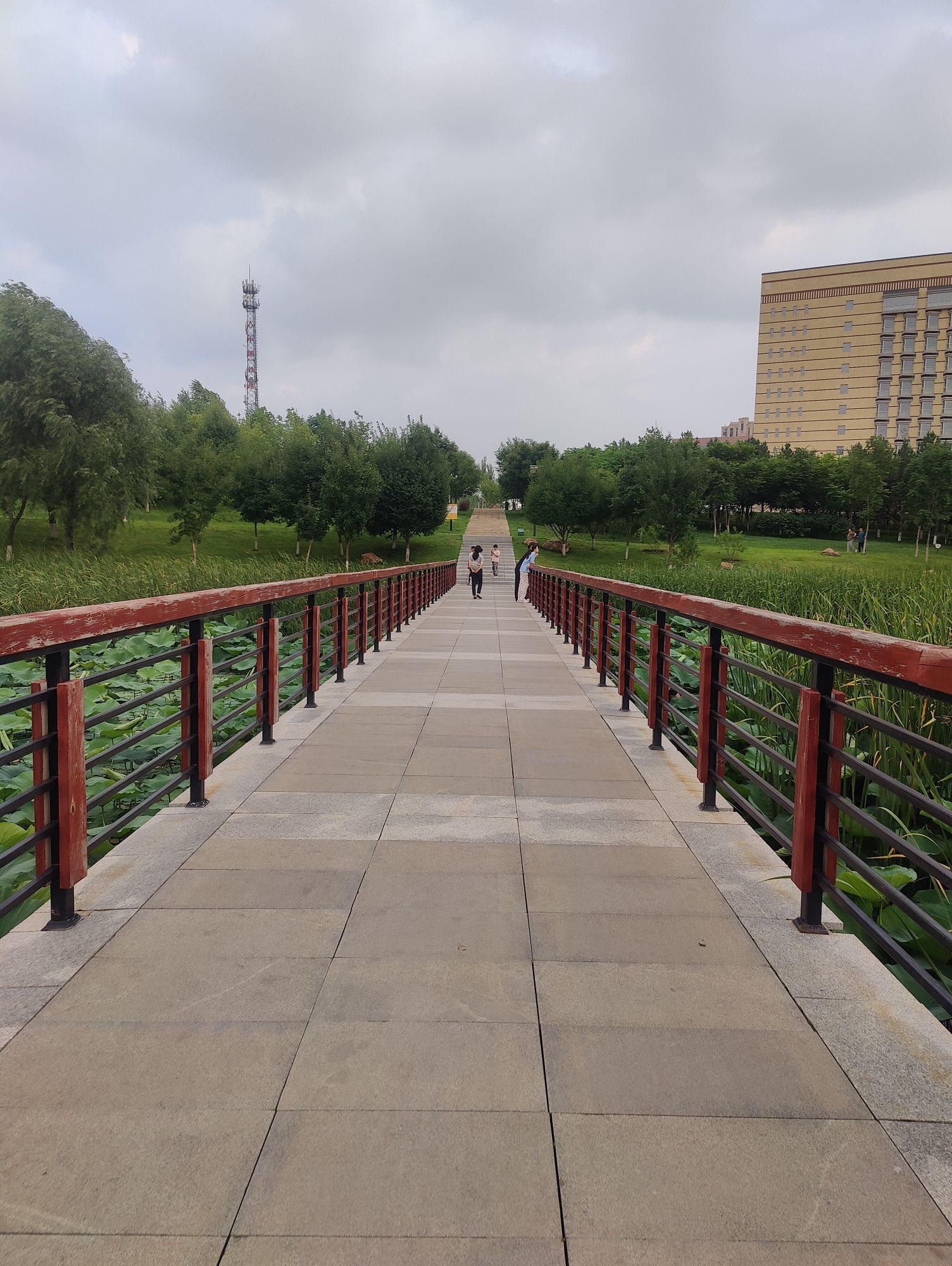 清水音公园旅行图片 2