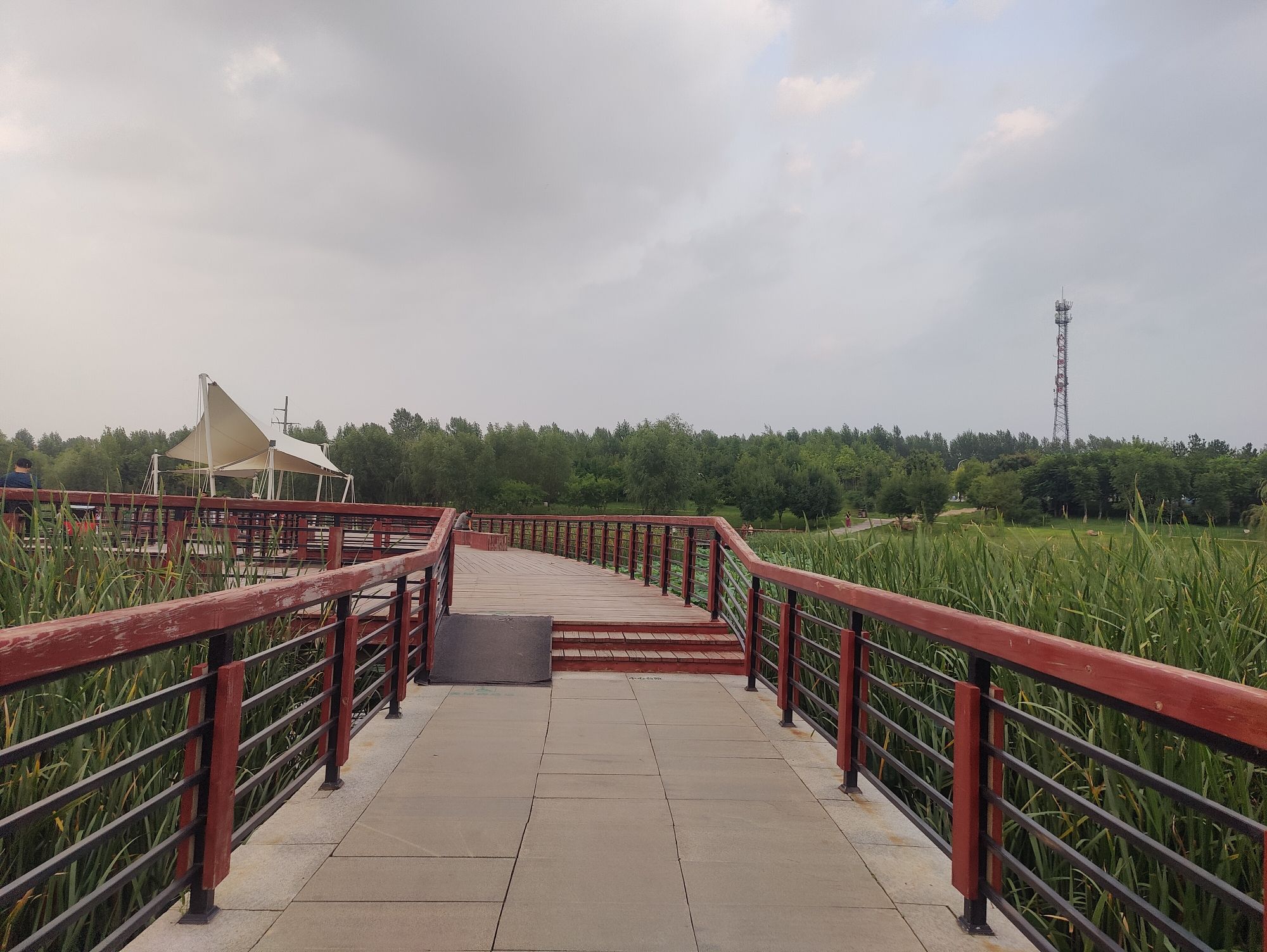 清水音公园旅行图片 3