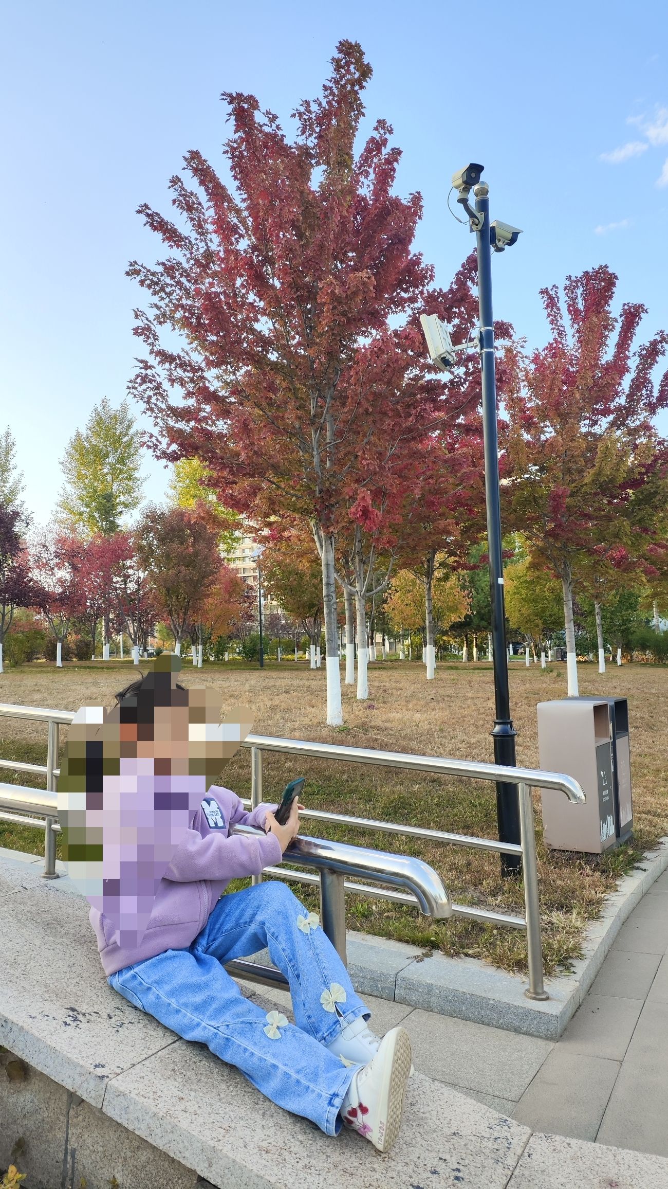 清水音公园旅行图片 3