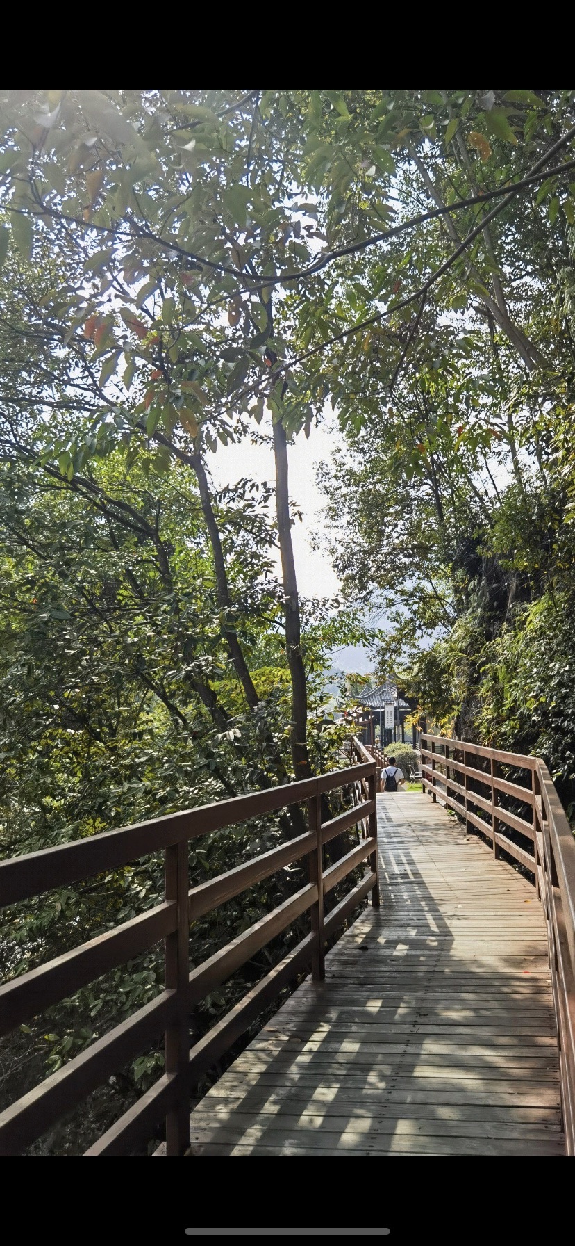 梅树底风景区旅行图片 1