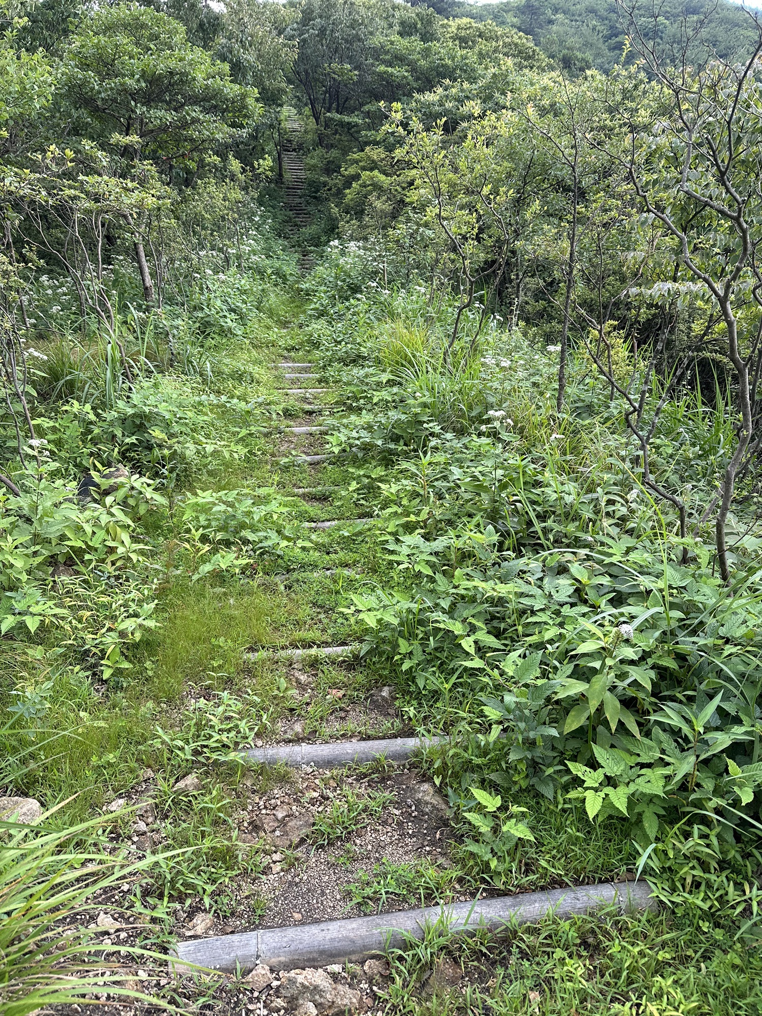 梅树底风景区旅行图片 1