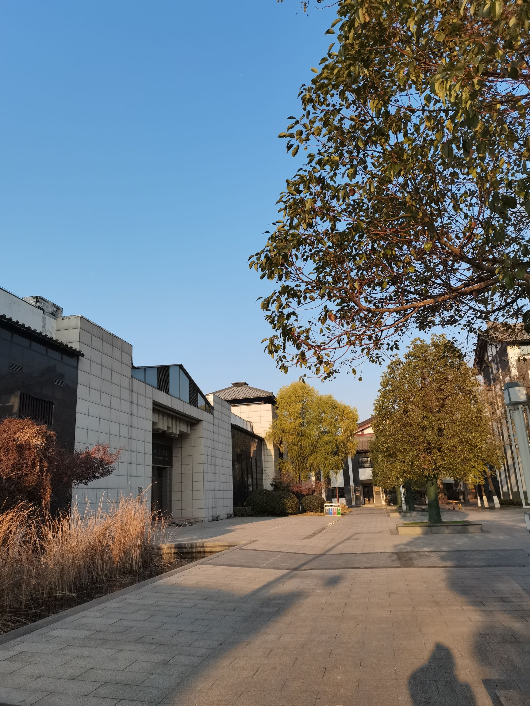 青山公园旅行图片 1
