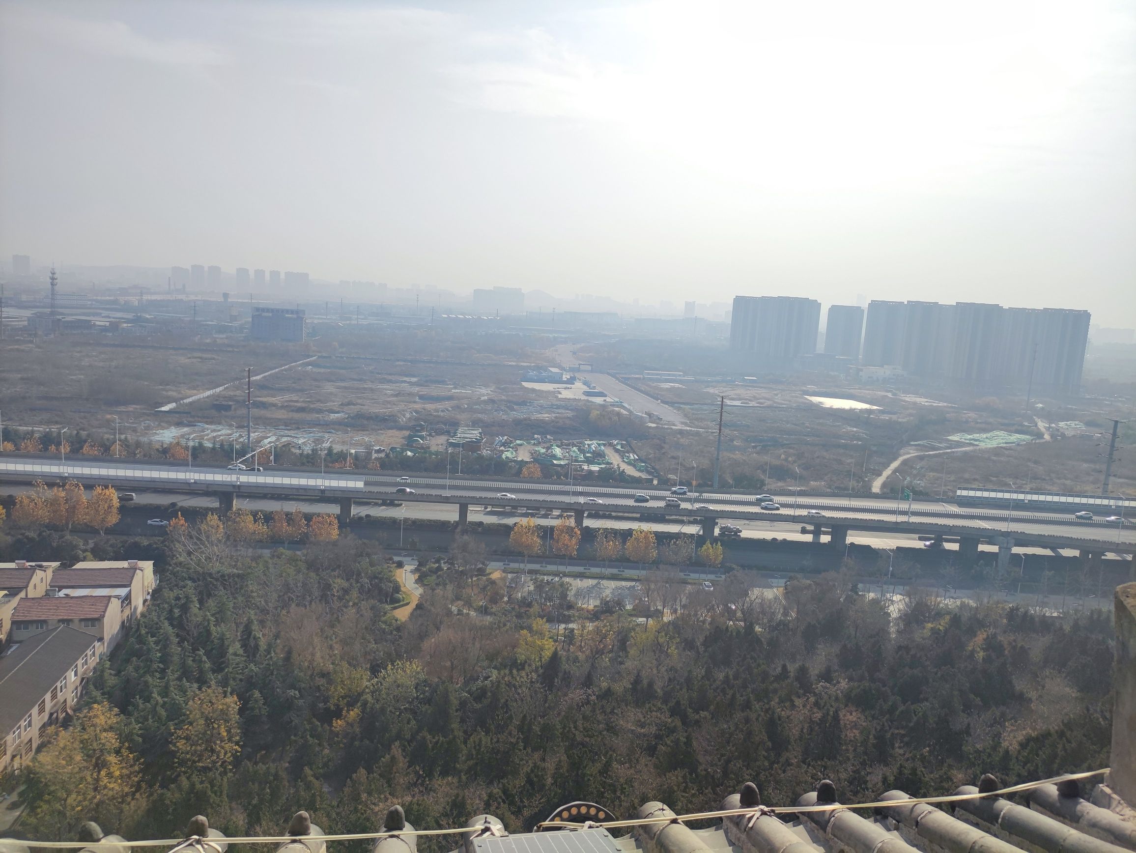 青山公园旅行图片 3