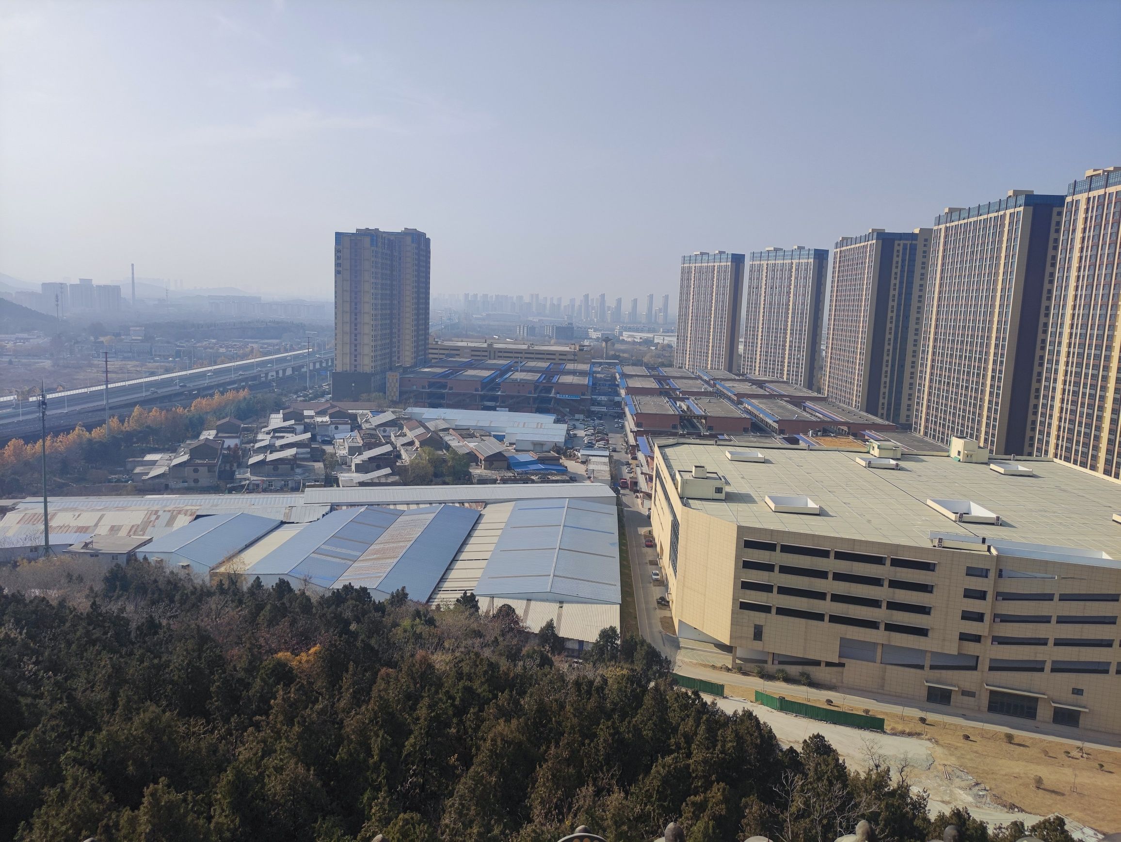 青山公园旅行图片 2