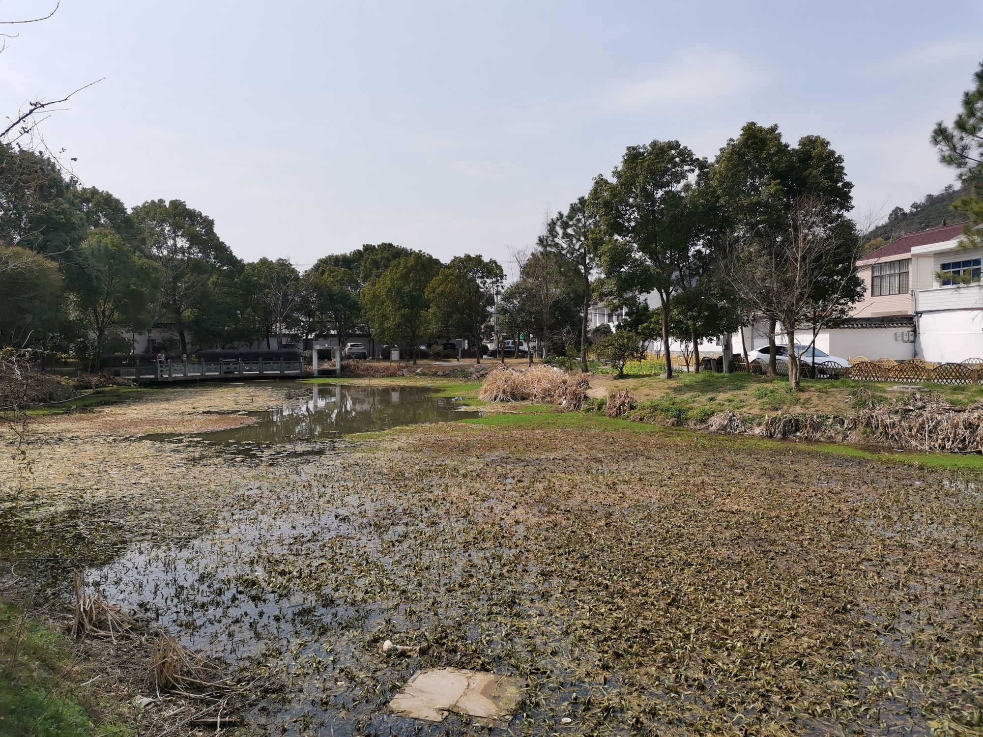 鞍山湿地公园旅行图片 3