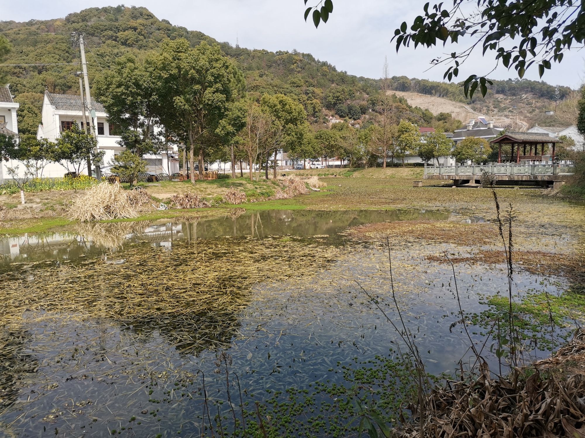 鞍山湿地公园旅行图片 2
