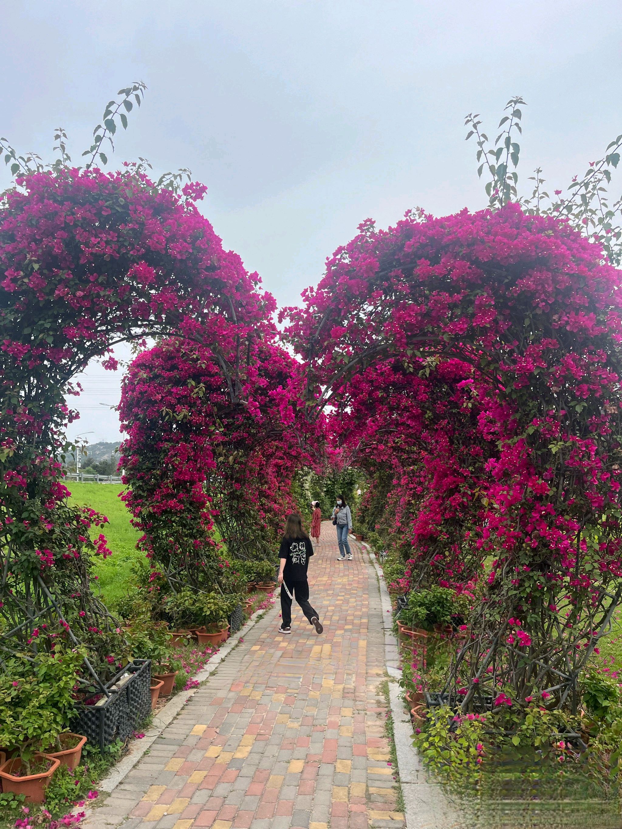花海谷公园旅行图片 2