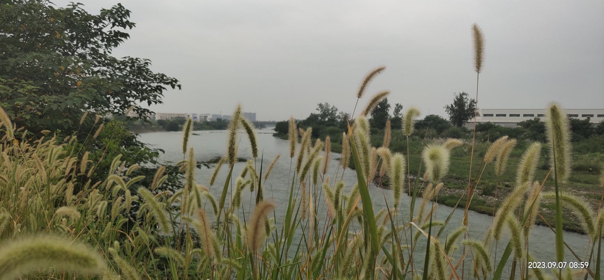 白龙潭旅行图片 2
