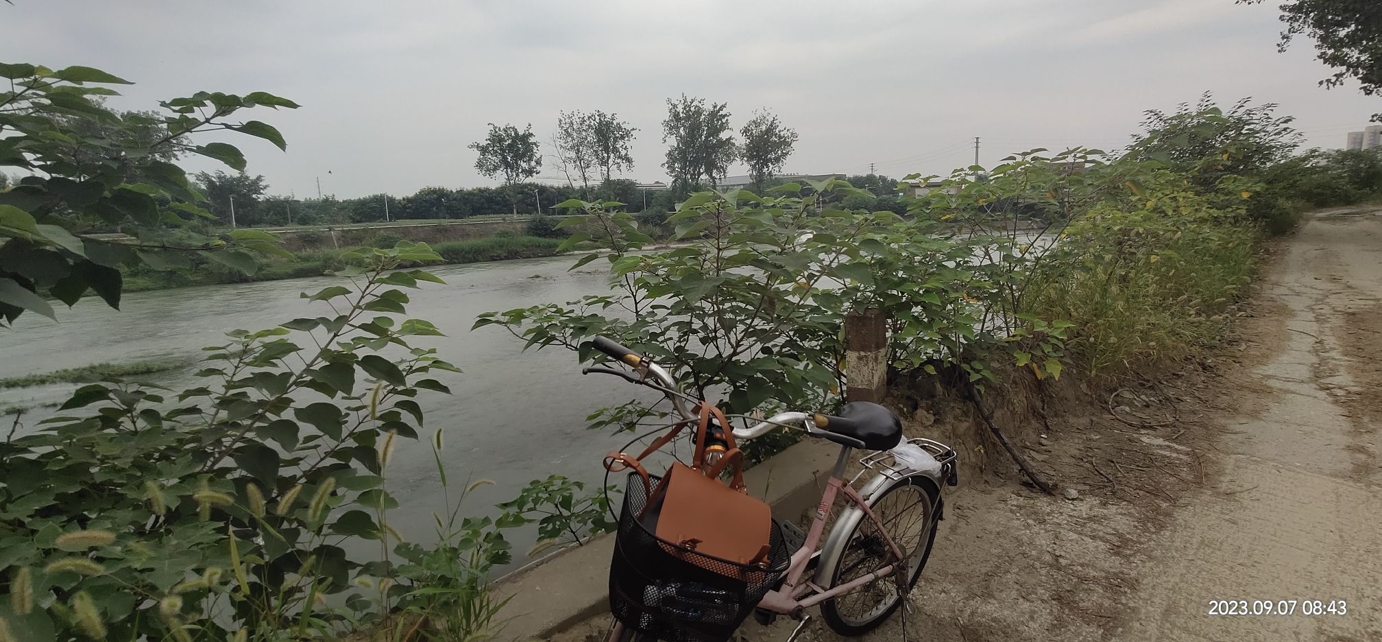 白龙潭旅行图片 3