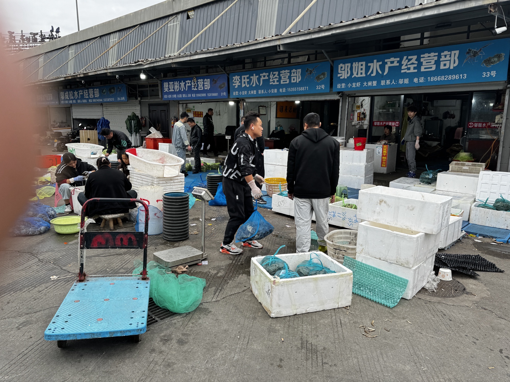 大世界水产交易区