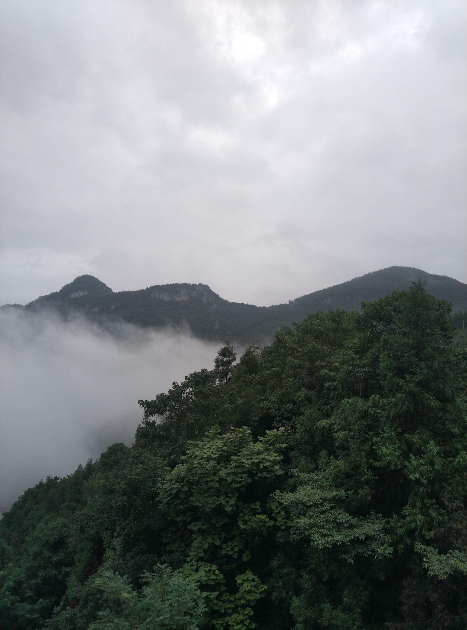 七十二弯风景区旅行图片 1