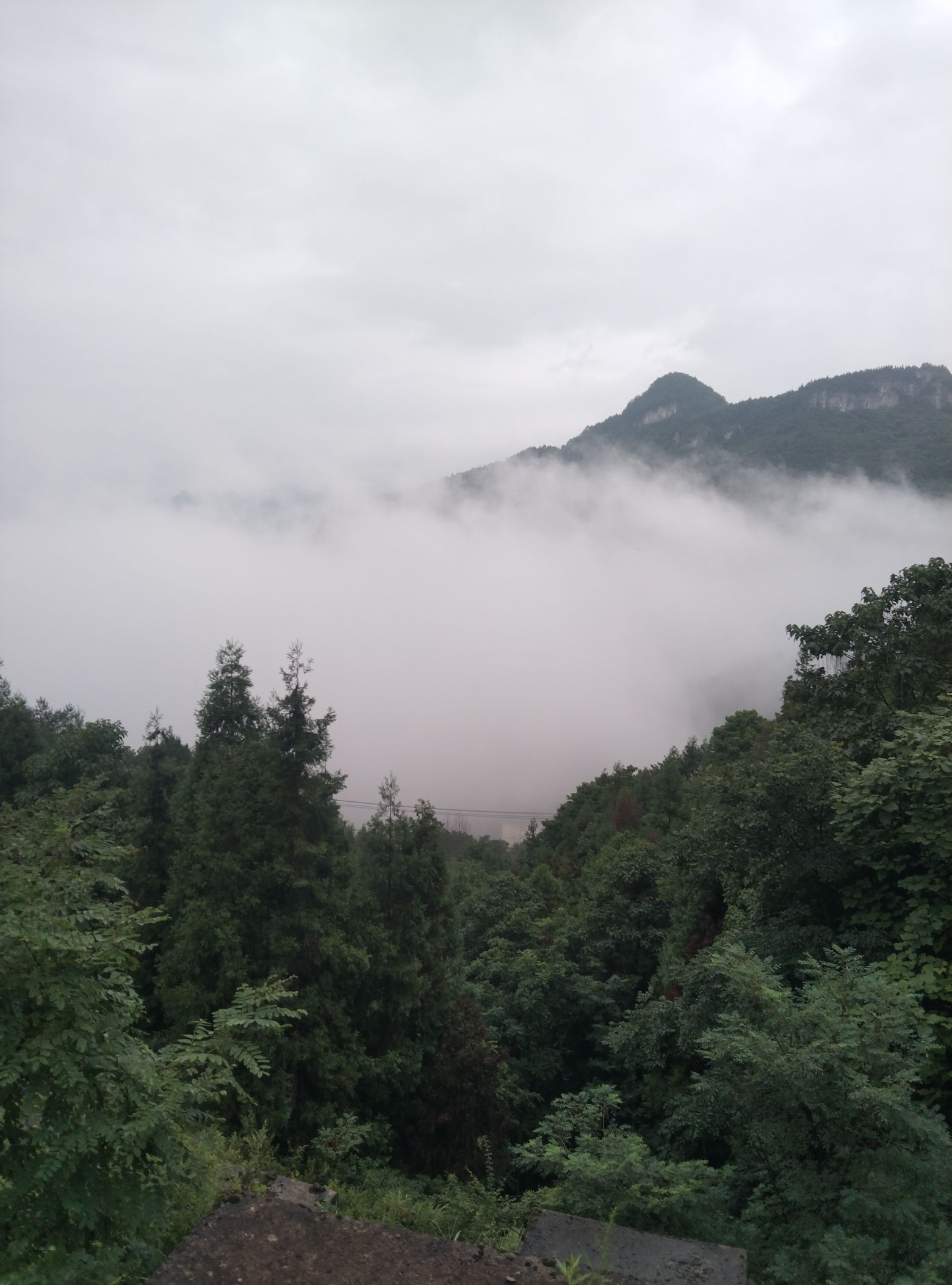 七十二弯风景区旅行图片 3