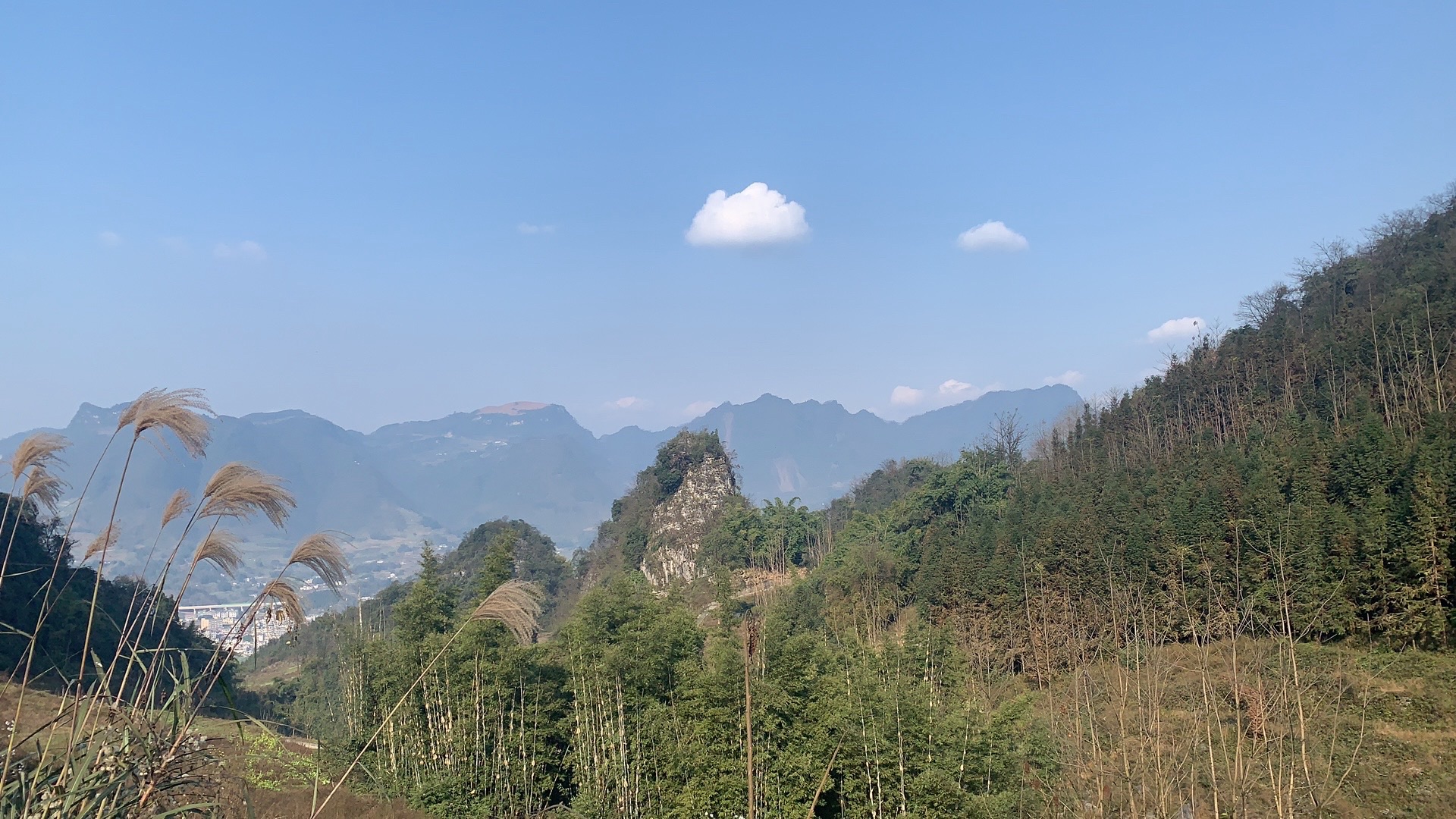 观宝山森林公园旅行图片 2