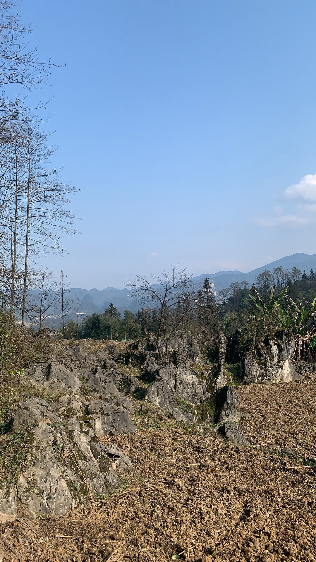 观宝山森林公园旅行图片 3