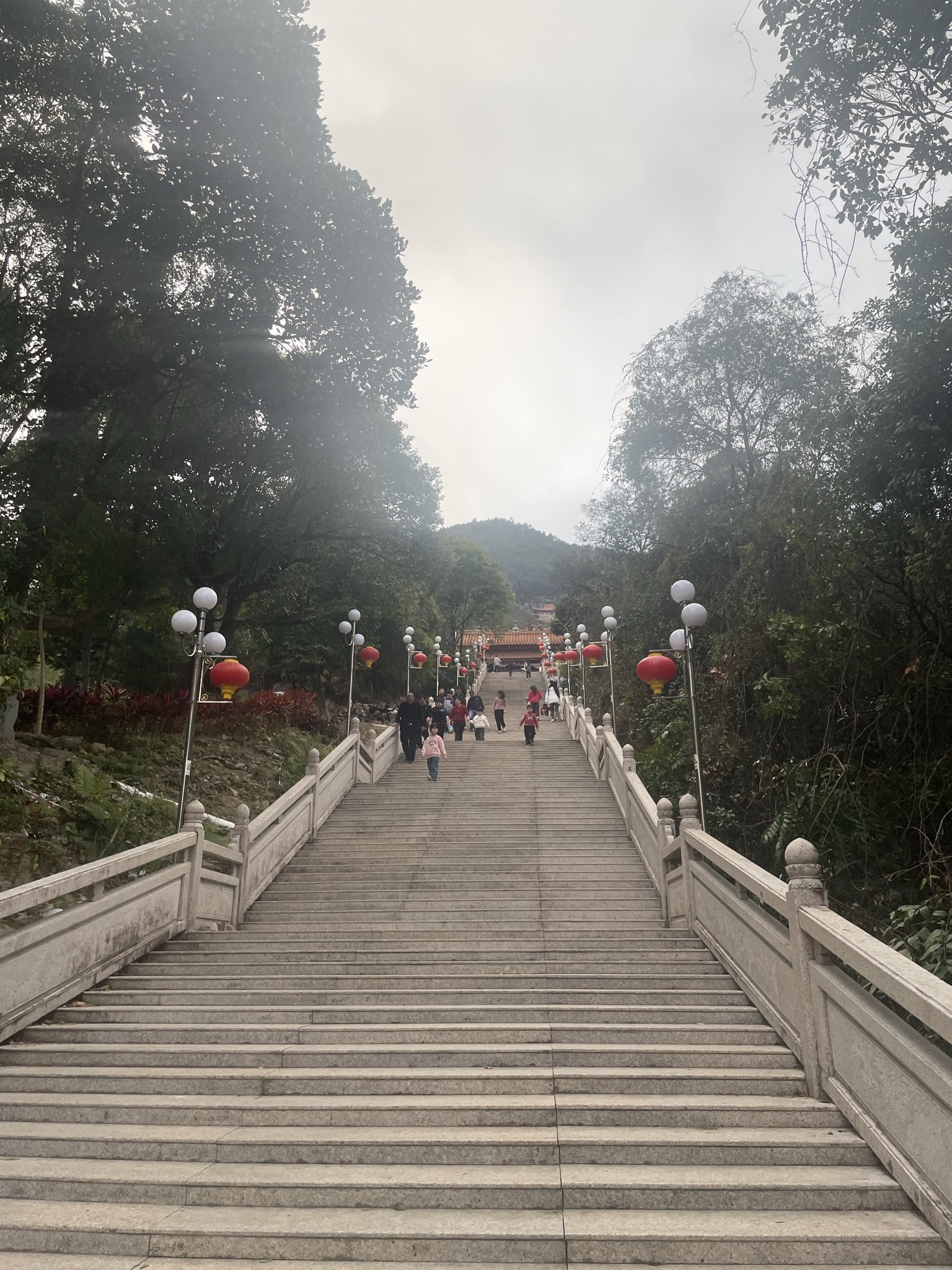 百二丘田旅行图片 3