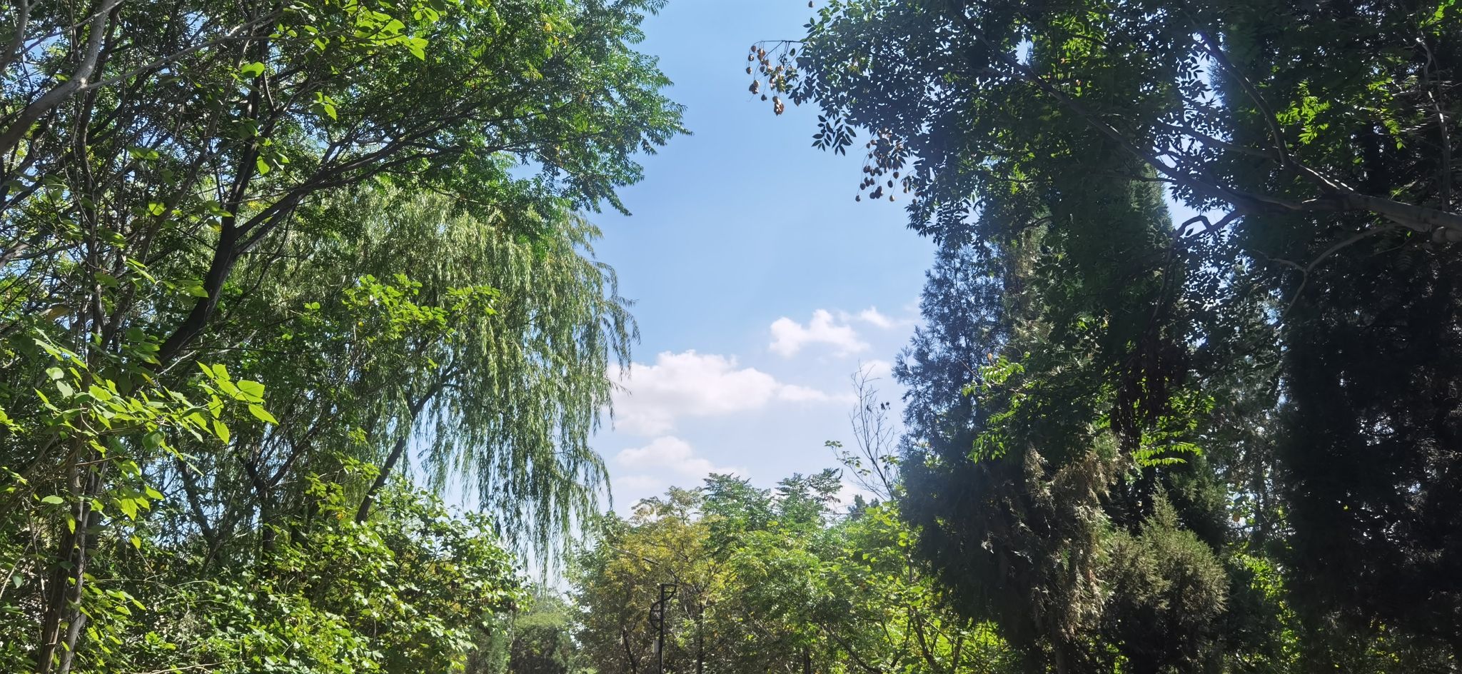 兖矿集团兴隆庄煤矿景区旅行图片 1