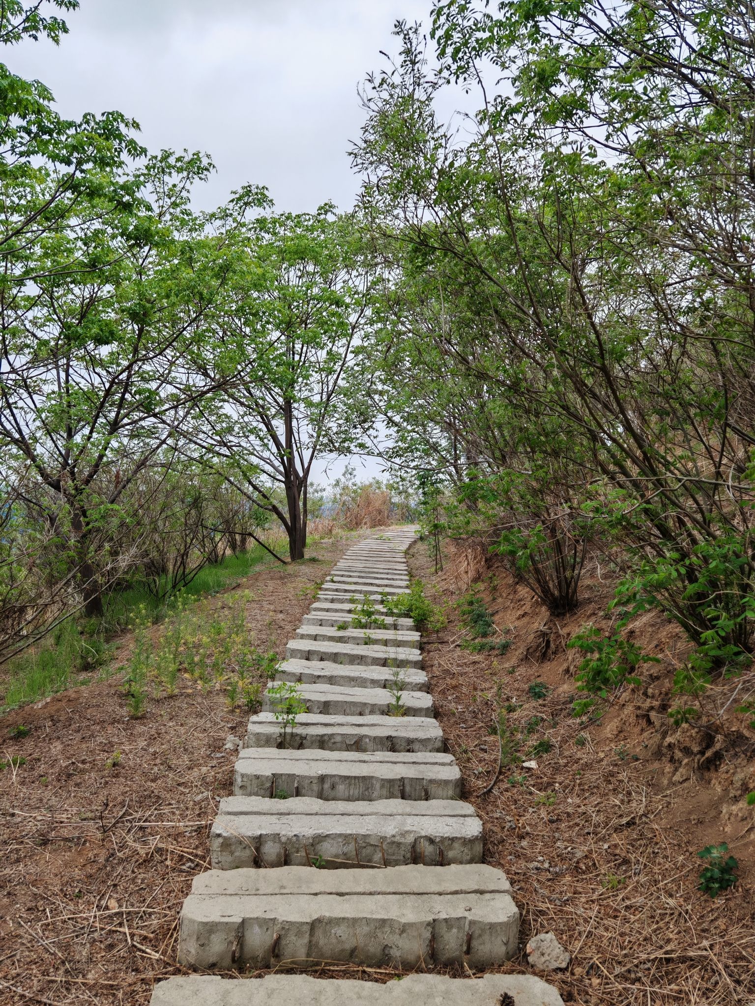 兖矿集团兴隆庄煤矿景区旅行图片 2